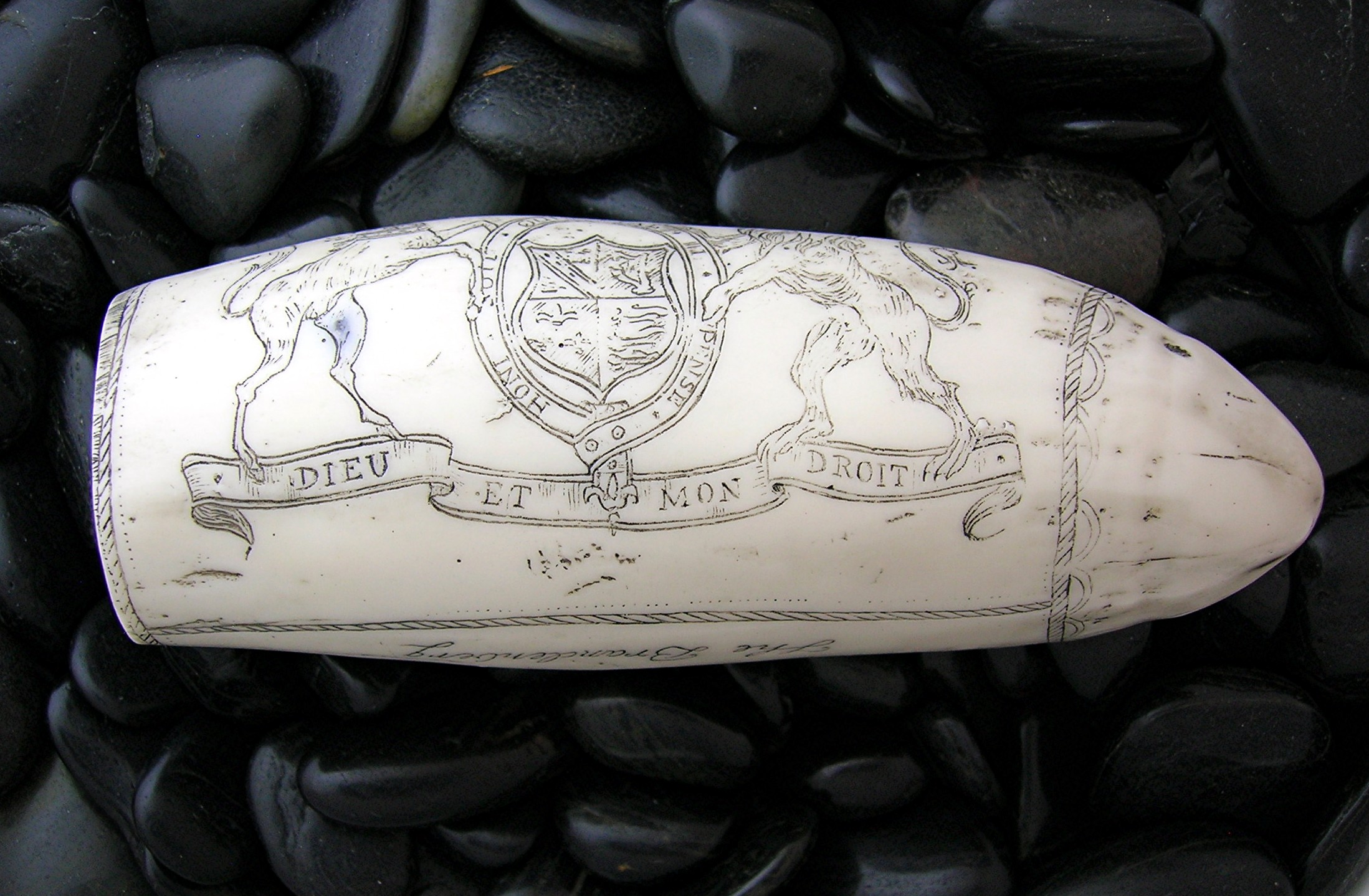 Resin Repro Ivory Scrimshaw Carving The Brandenberg