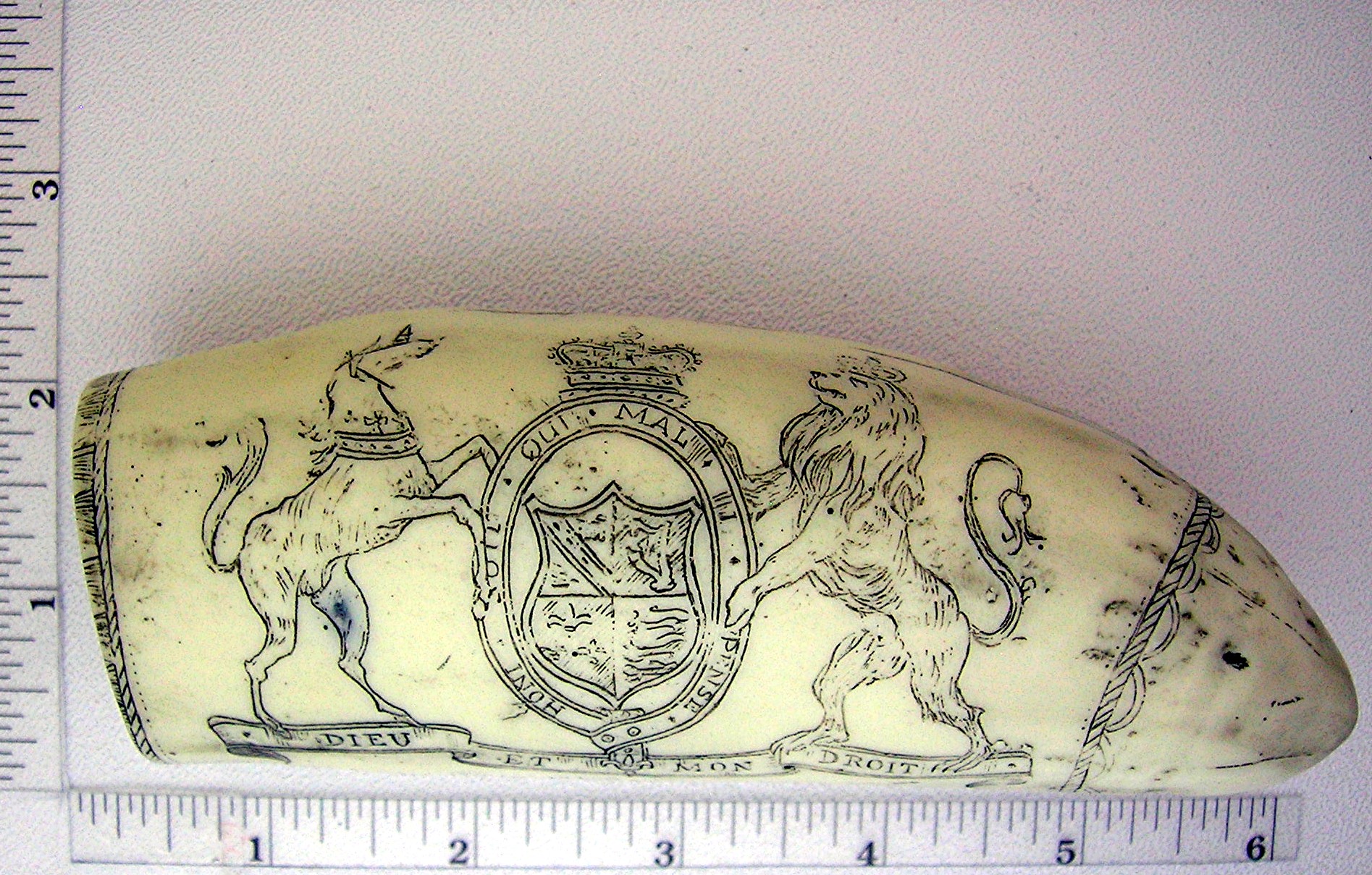 Resin Repro Ivory Scrimshaw Carving The Brandenberg