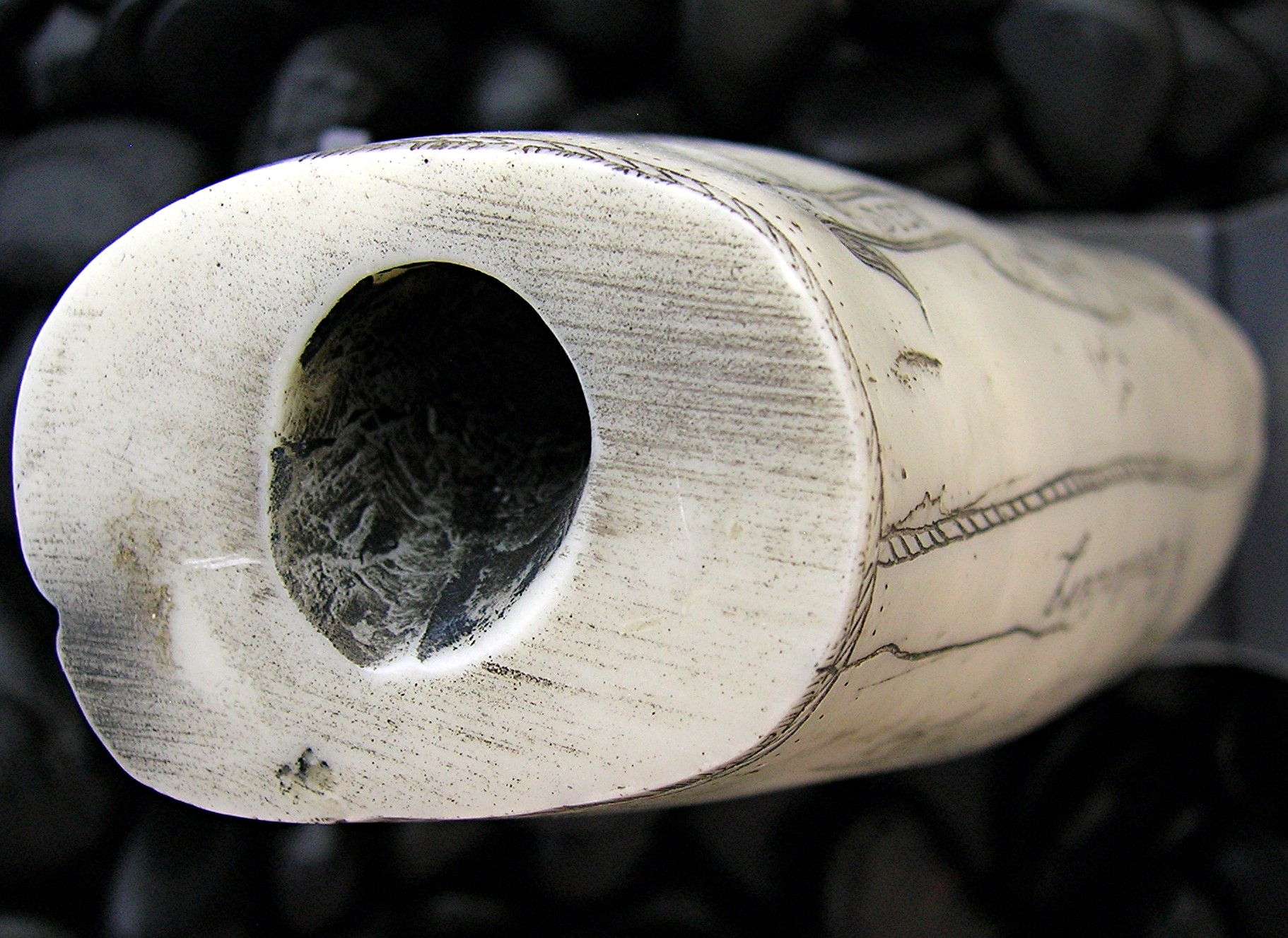 Resin Repro Ivory Scrimshaw Carving The Brandenberg