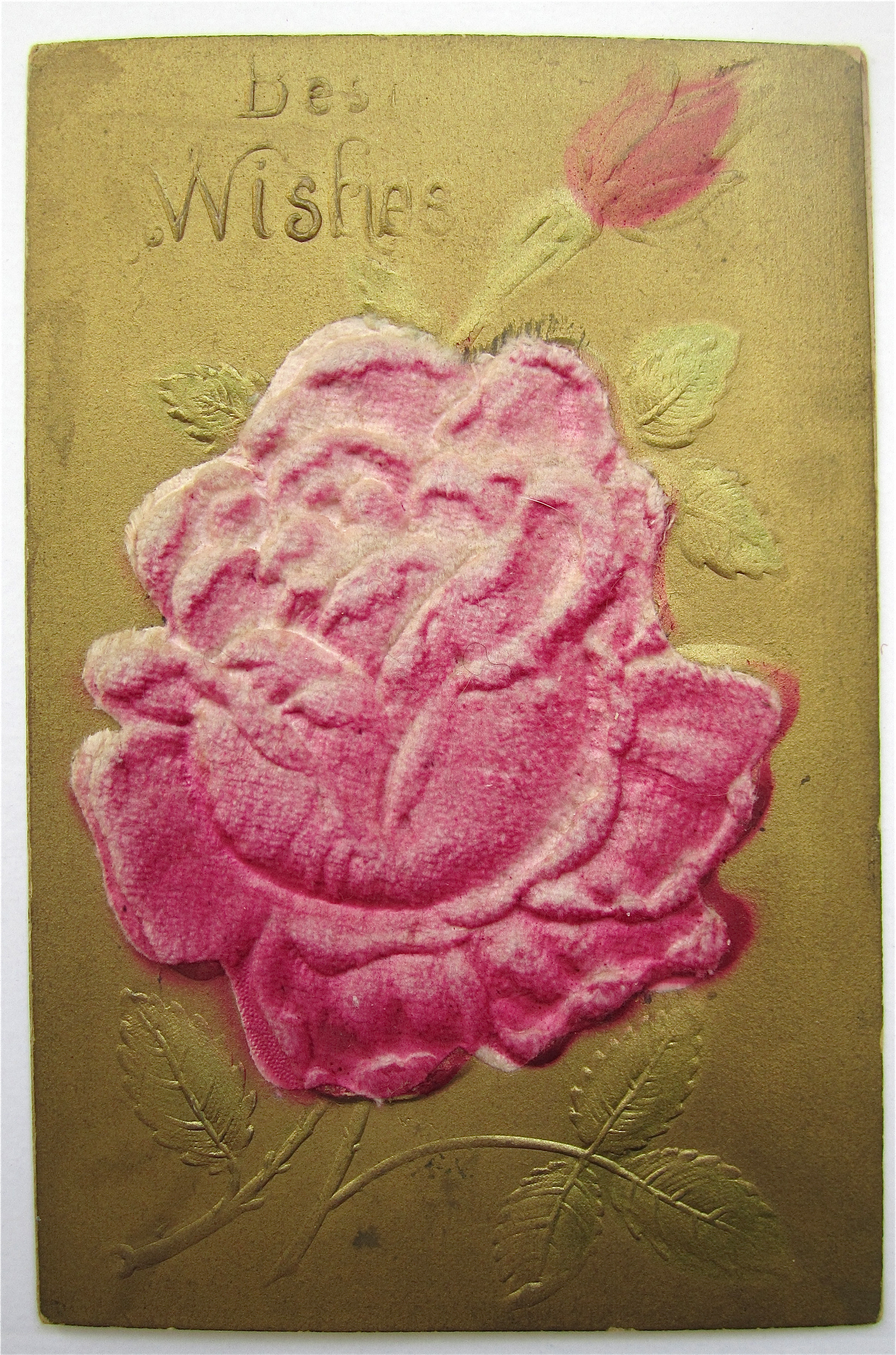 Best Wishes Rose Postcard - Heavily Embossed