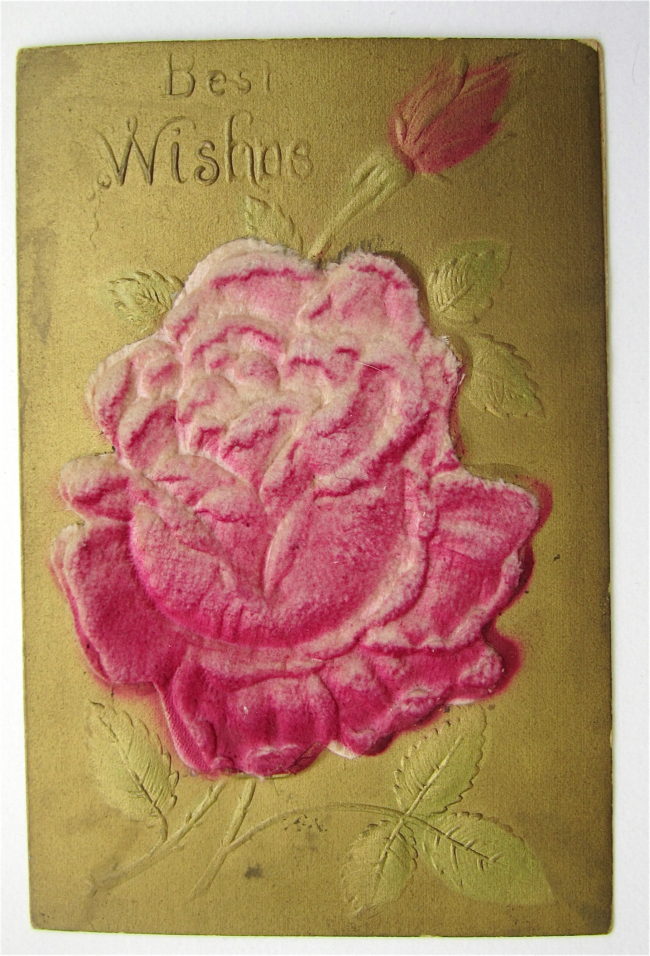 Best Wishes Rose Postcard - Heavily Embossed