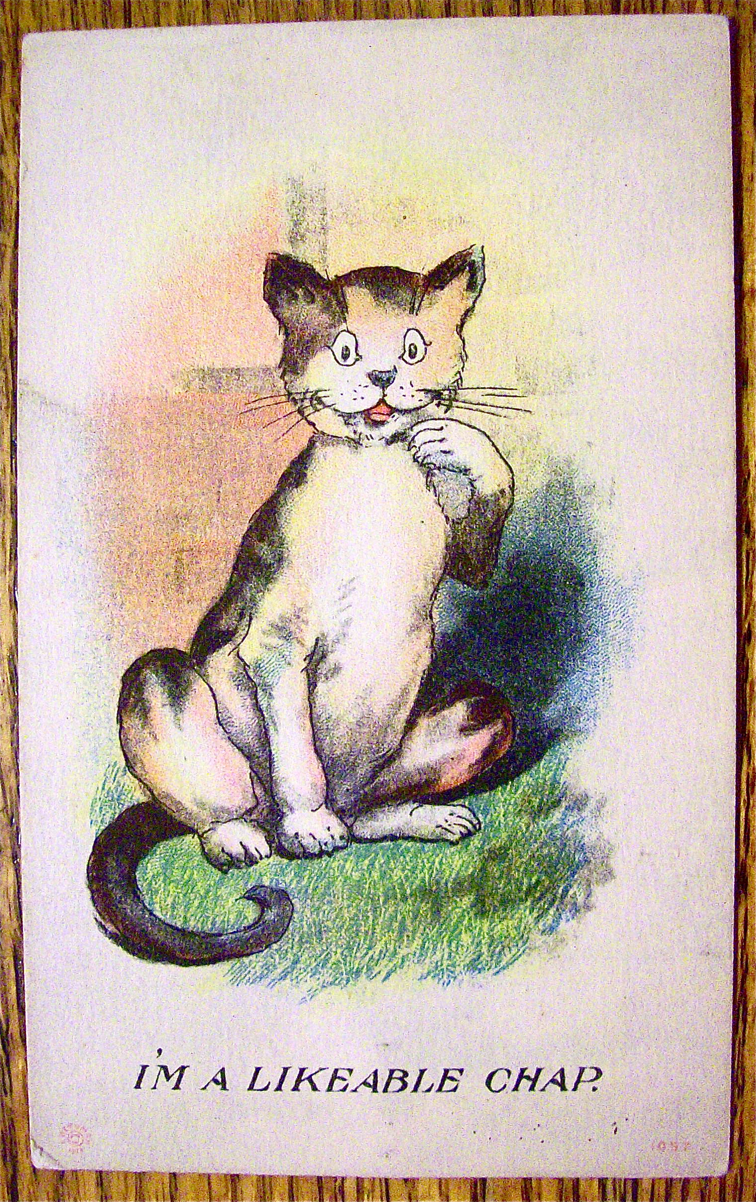A Cat Smiling With Their Paw By Their Face Postcard