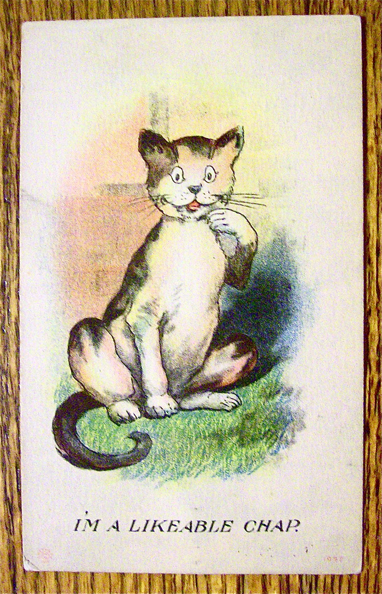 A Cat Smiling With Their Paw By Their Face Postcard