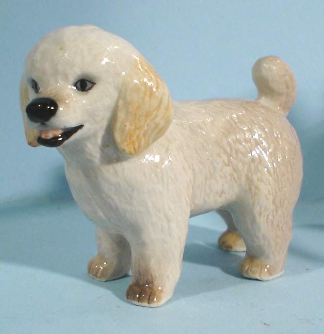 Northern Rose R161 Toy Poodle