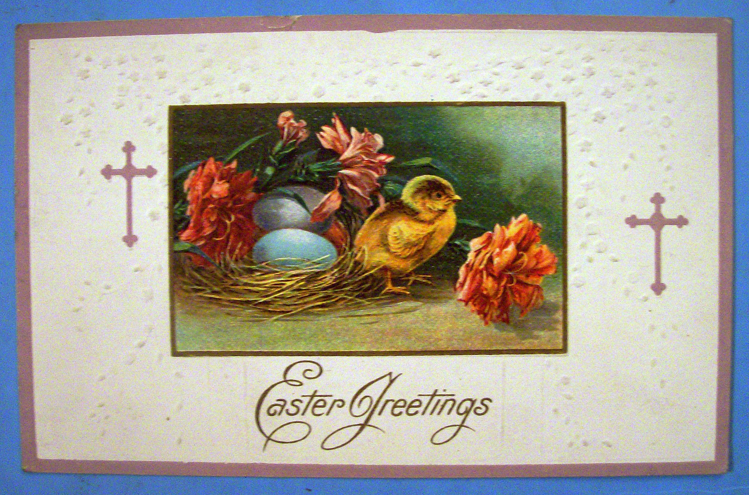 Easter Greetings Postcard w/Chick Standing by Nest