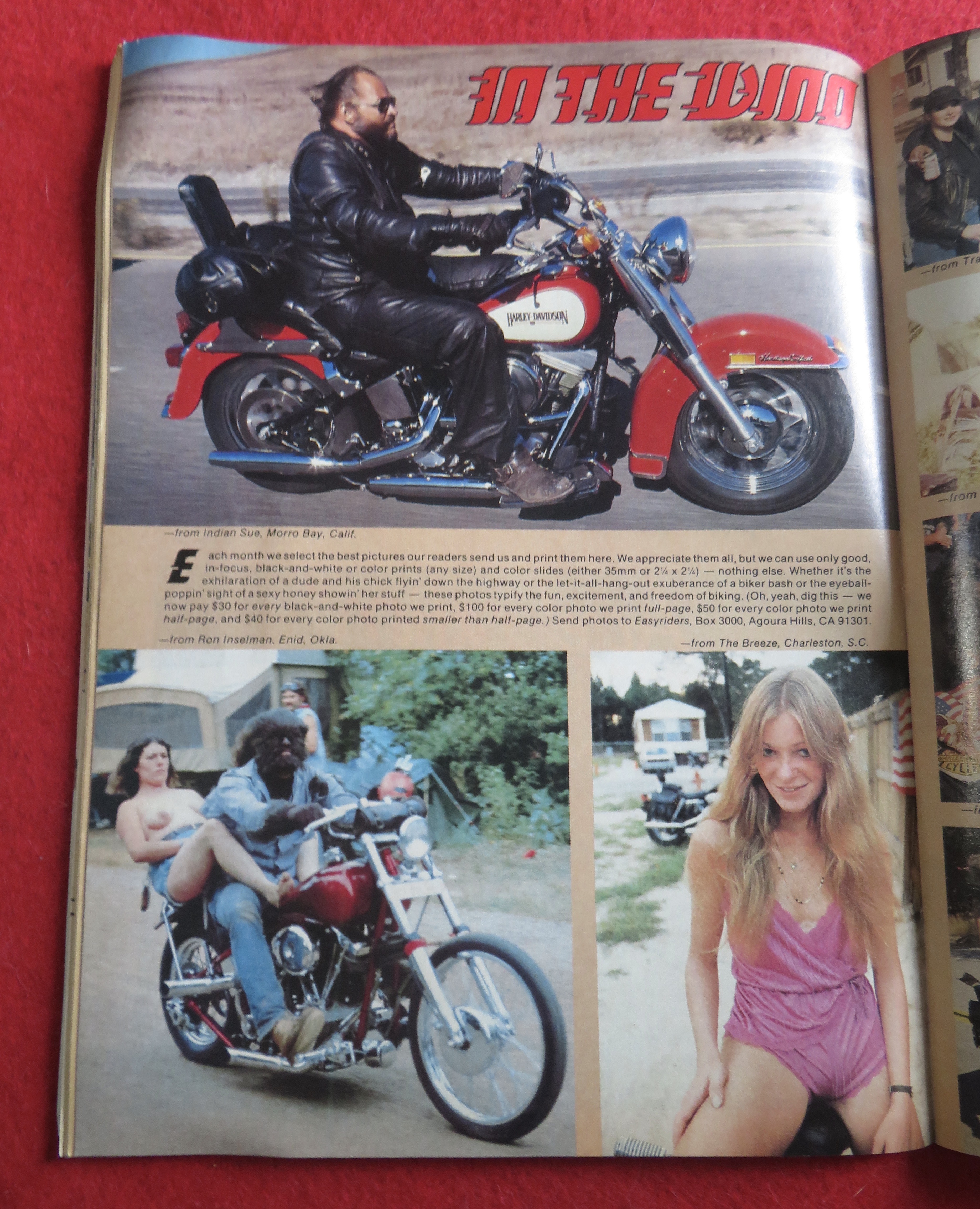 Easyriders Magazine June 1987 Sexy Bike Women