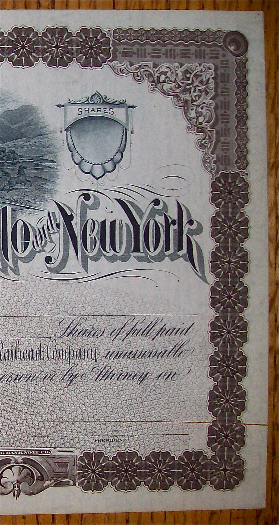 1880 Port, Jervis, Monticello & New York Stock