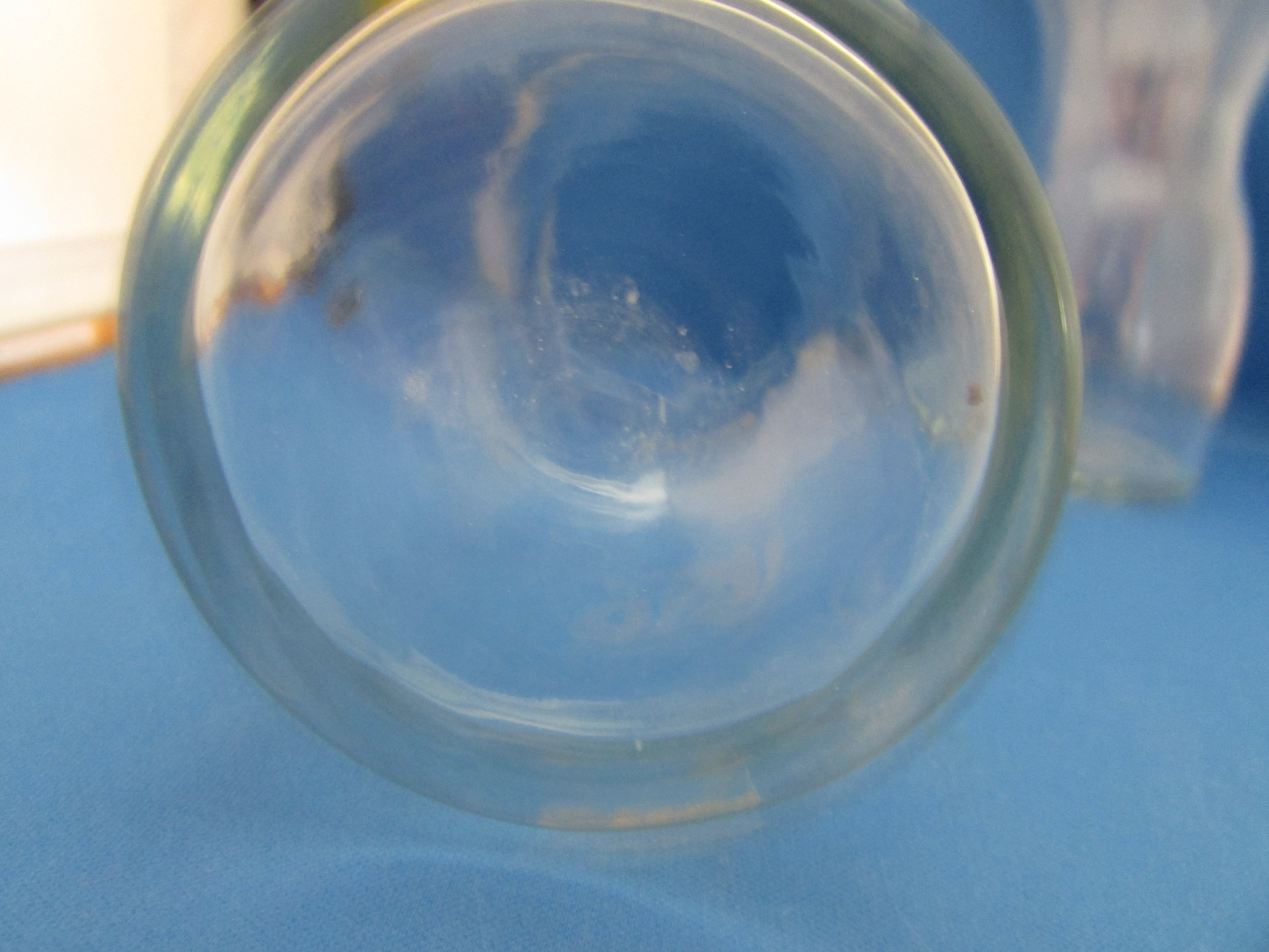 Two Tab Glasses