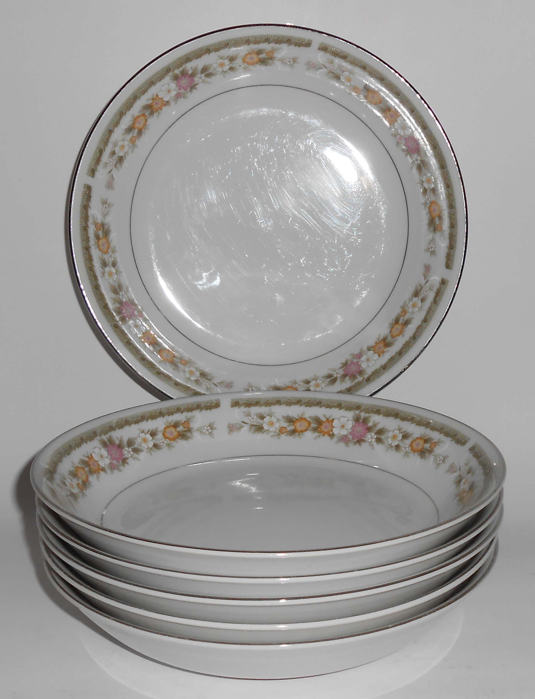 Set/6 Everbrite Japan Porcelain China Savanah Soups