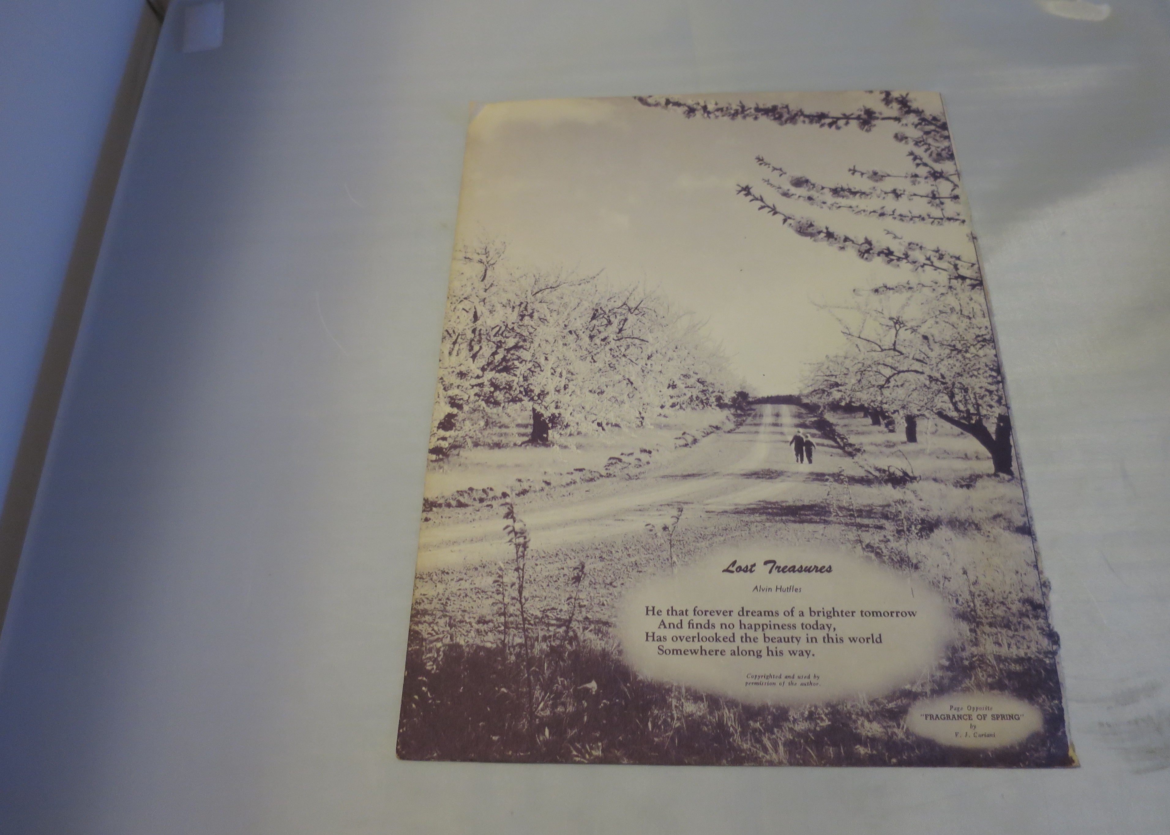 Fragrance of Spring by V. J. Cariani Lithograph Print