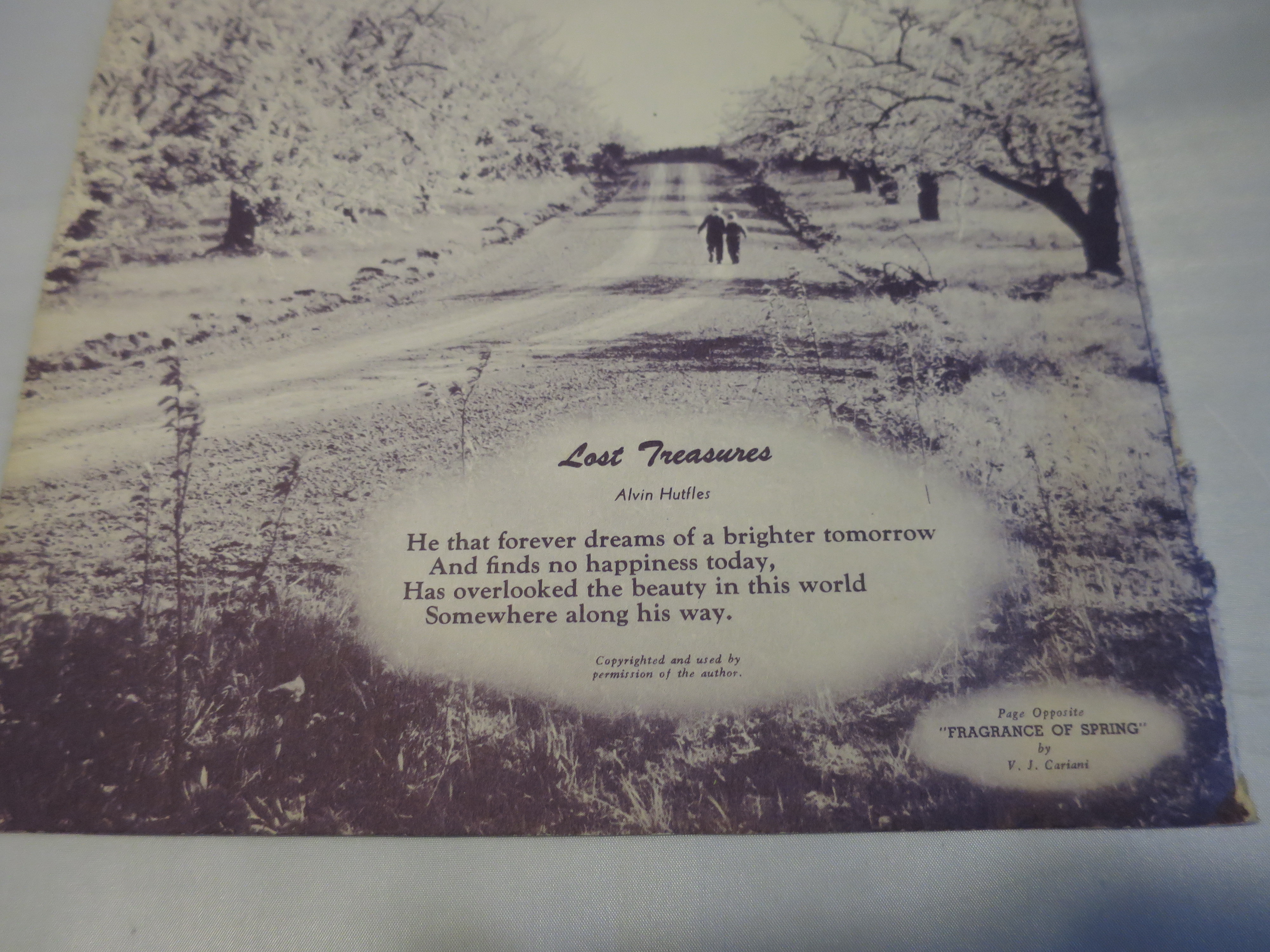 Fragrance of Spring by V. J. Cariani Lithograph Print
