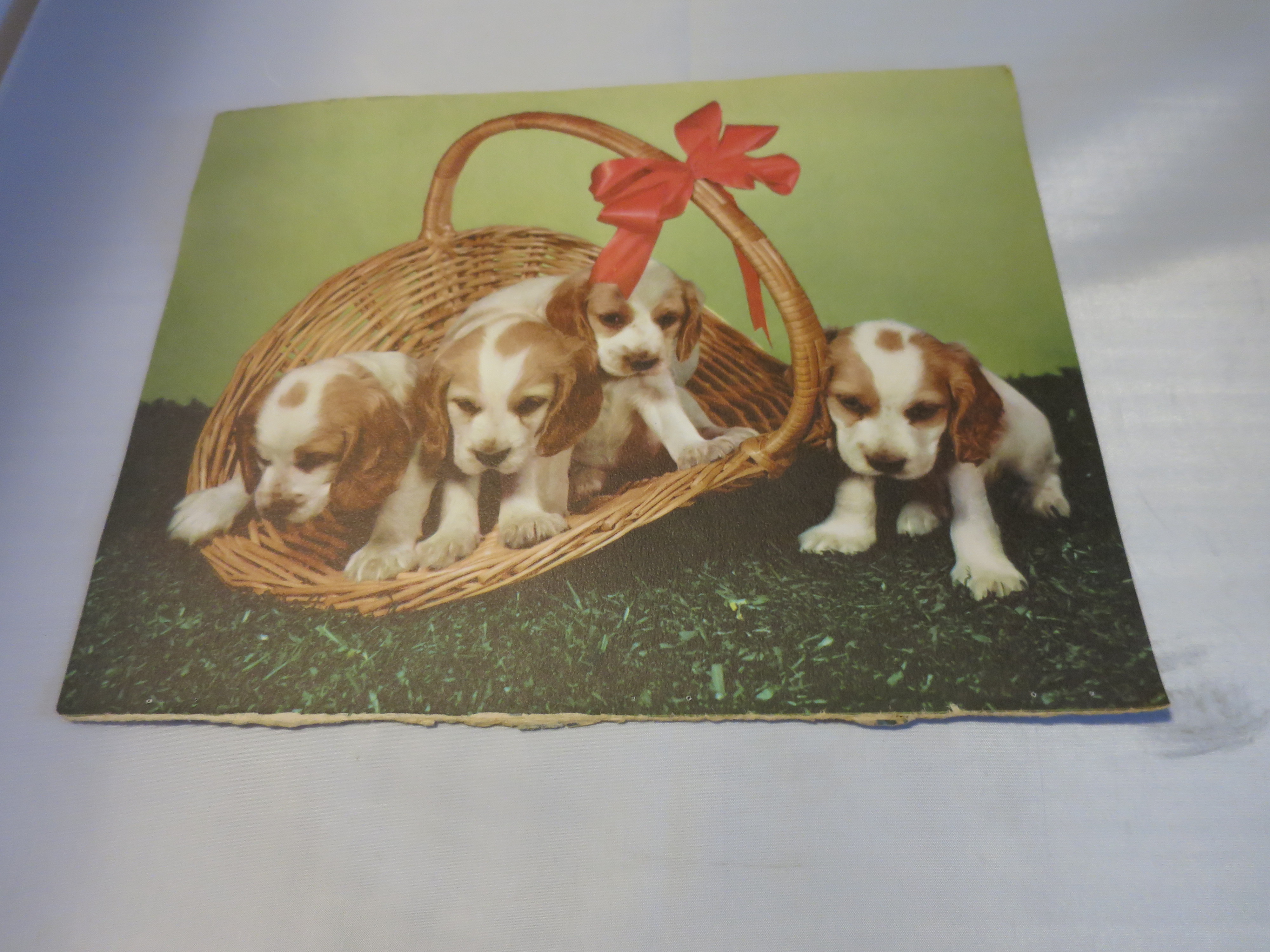 Puppies in a Basket Lithograph Print Ideal 1950