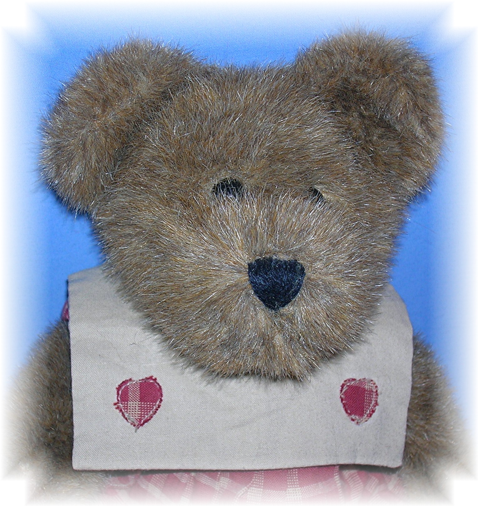 12 Inch Boyds Lady Teddy Bear.