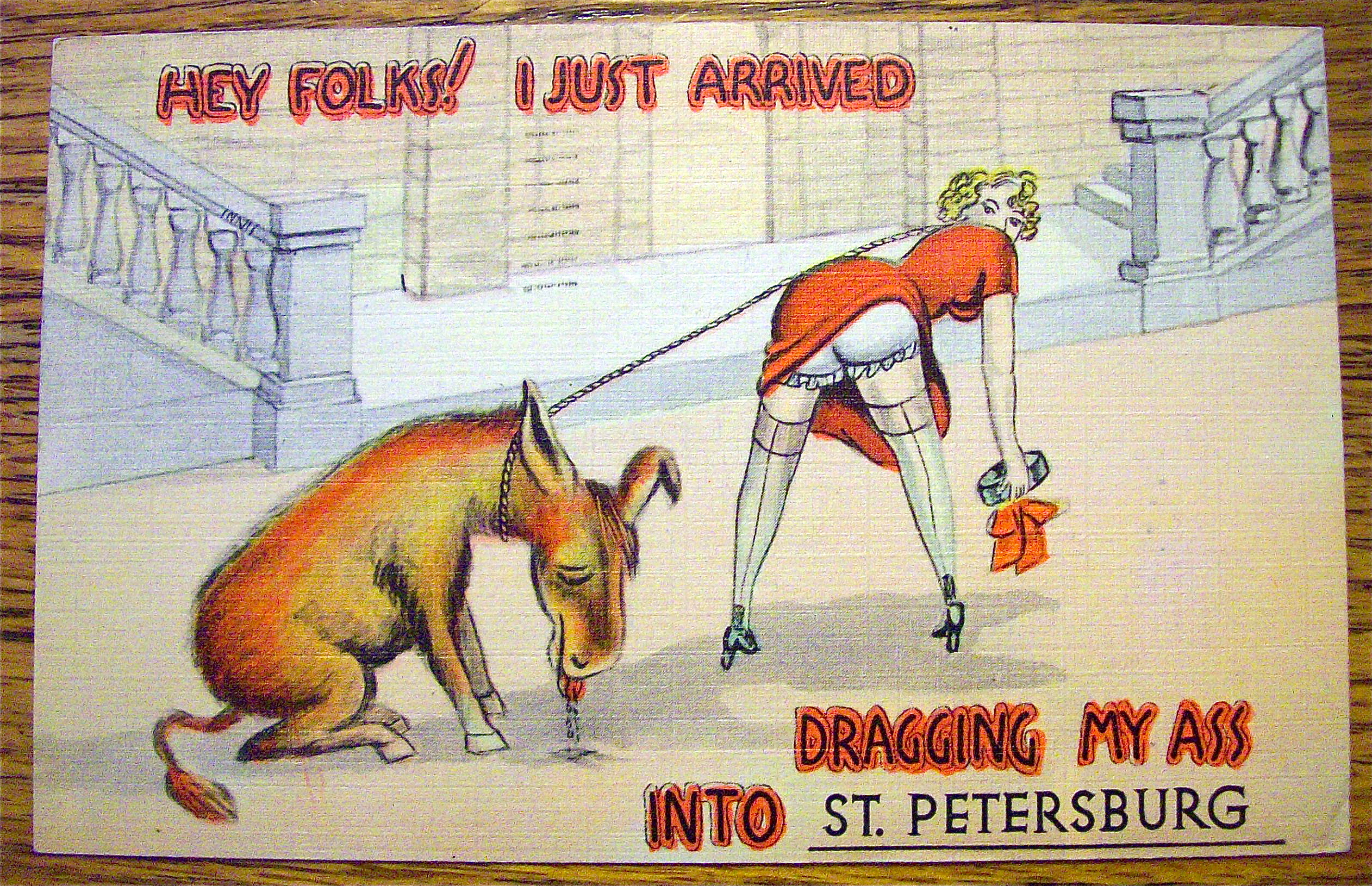 A Woman Dragged Her Donkey To St. Petersburg Postcard