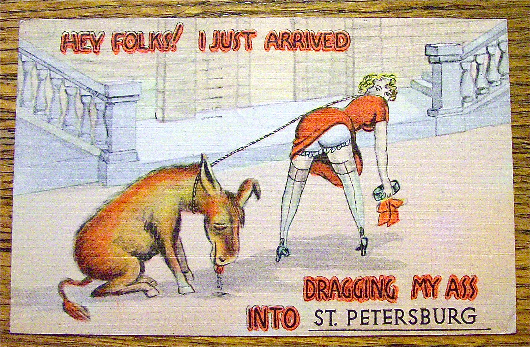 A Woman Dragged Her Donkey To St. Petersburg Postcard