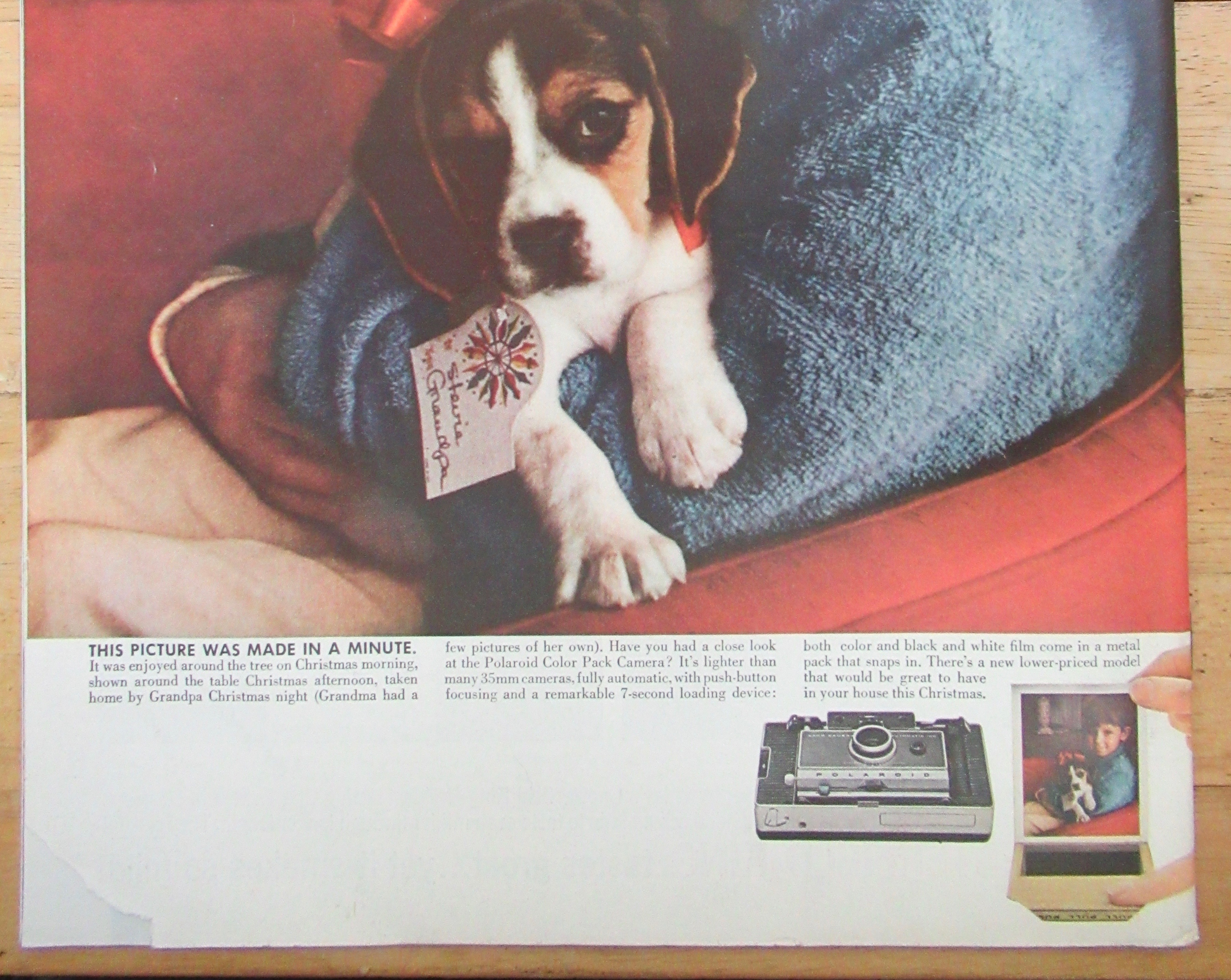 Saturday Evening Post Magazine-December 5, 1964 Lynley