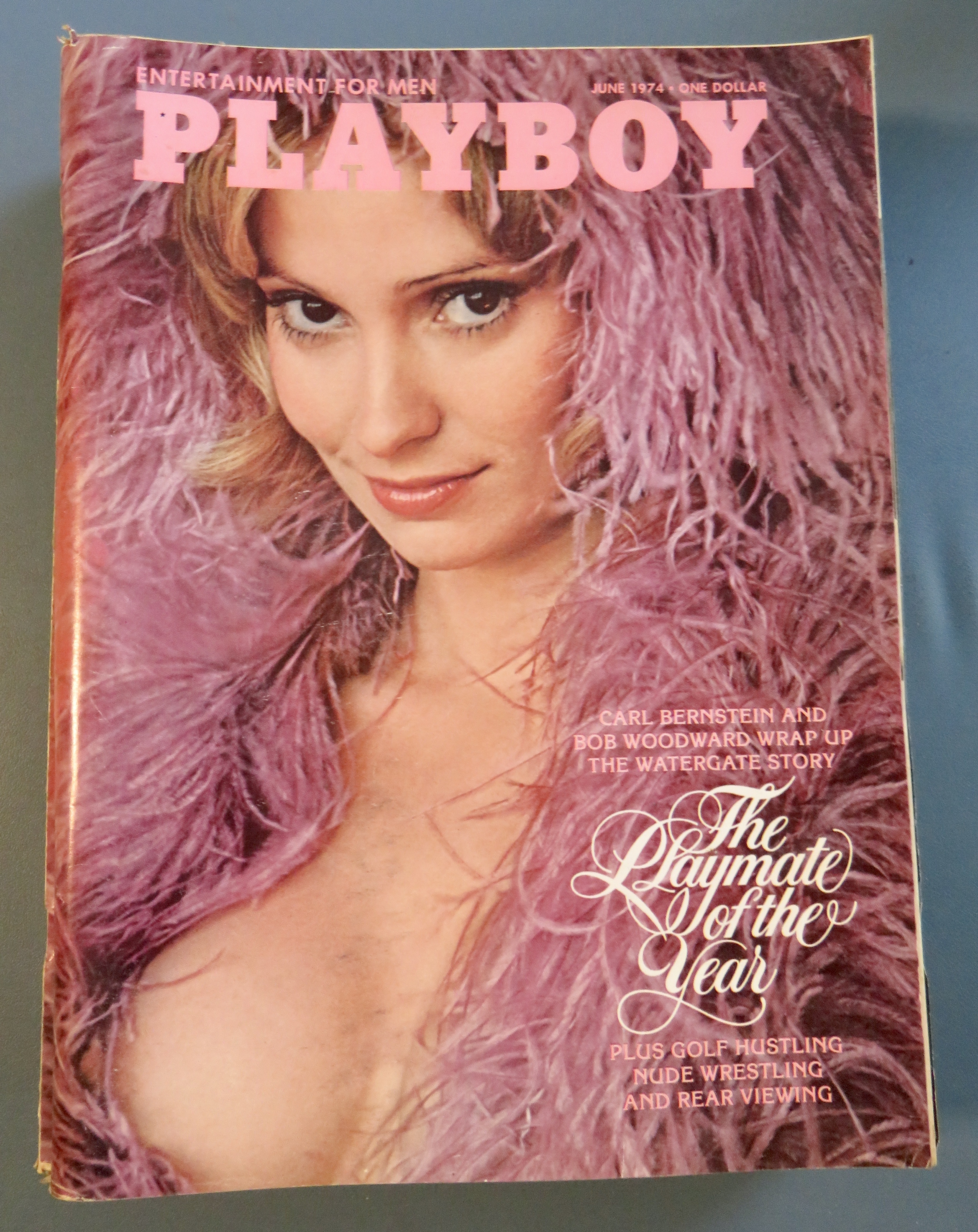 Playboy Magazine-June 1974-Sandy Johnson