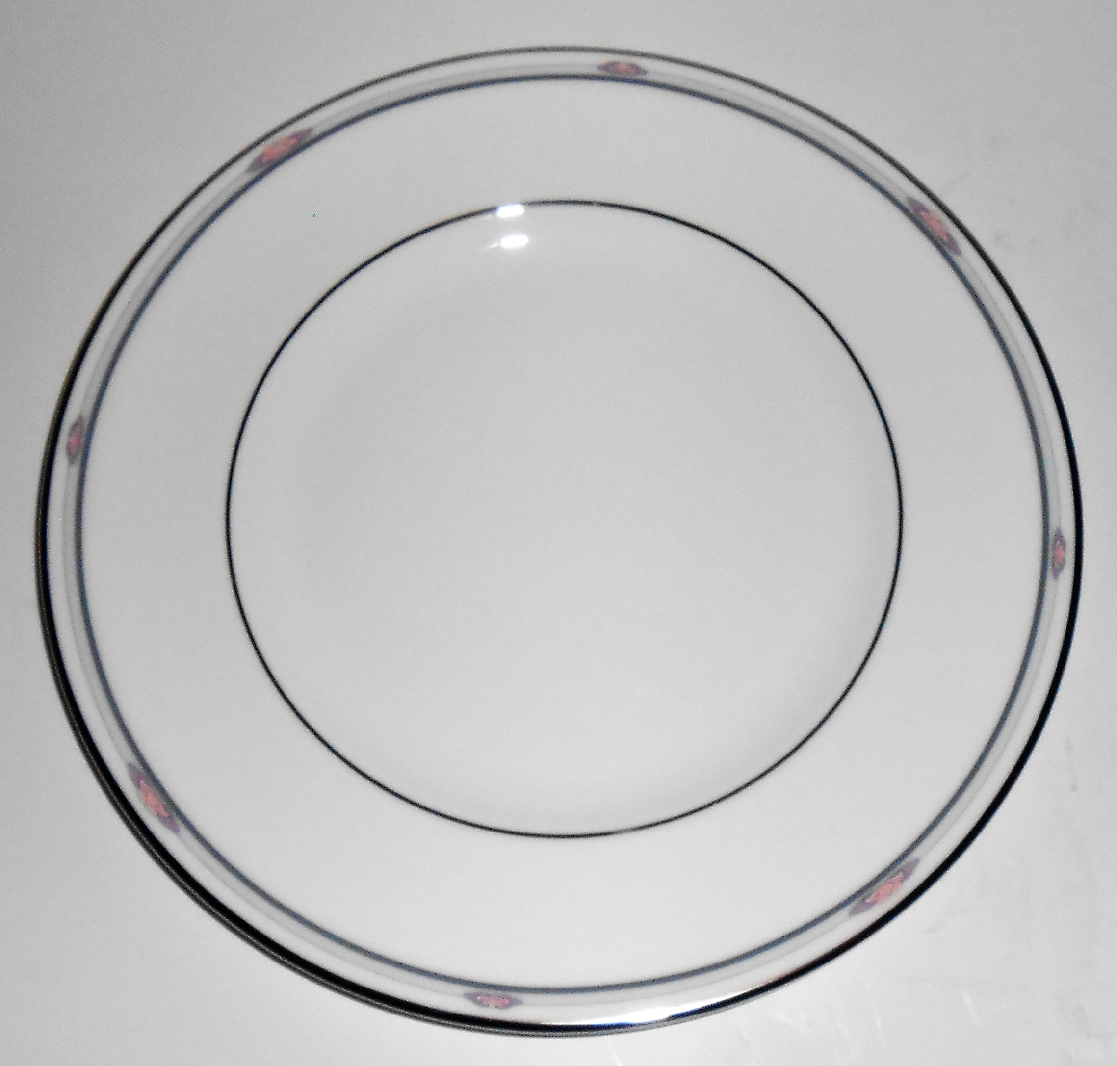 Royal Doulton China Platinum Band Simplicity Salad Pl