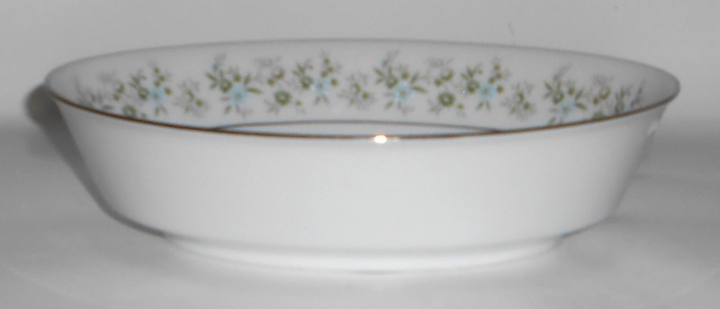 Noritake Porcelain China Savannah 2031 w/Platinum Oval Vegetable Bowl