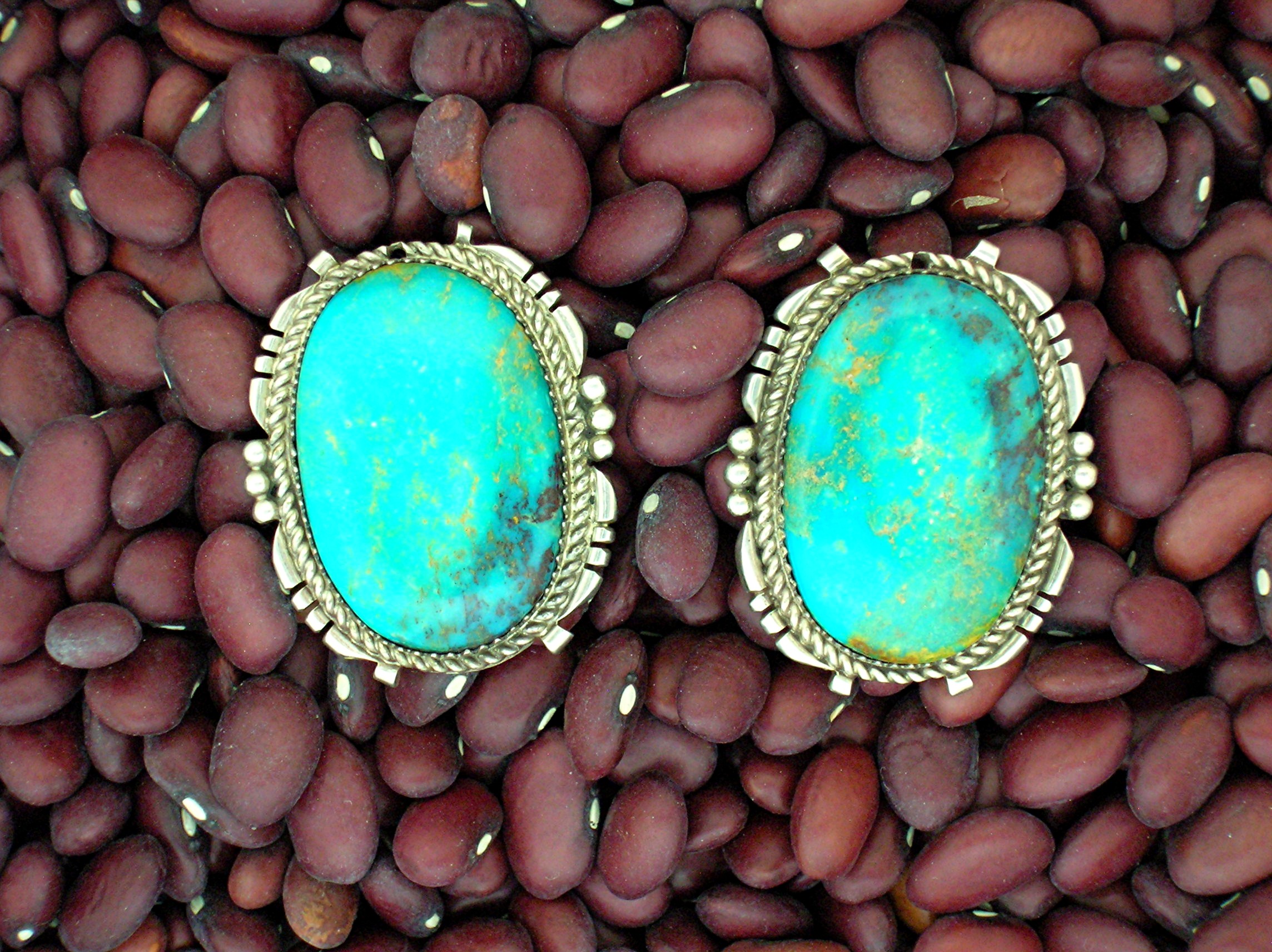 Navajo Kingman Turquoise Sterling Silver Clip Earrings