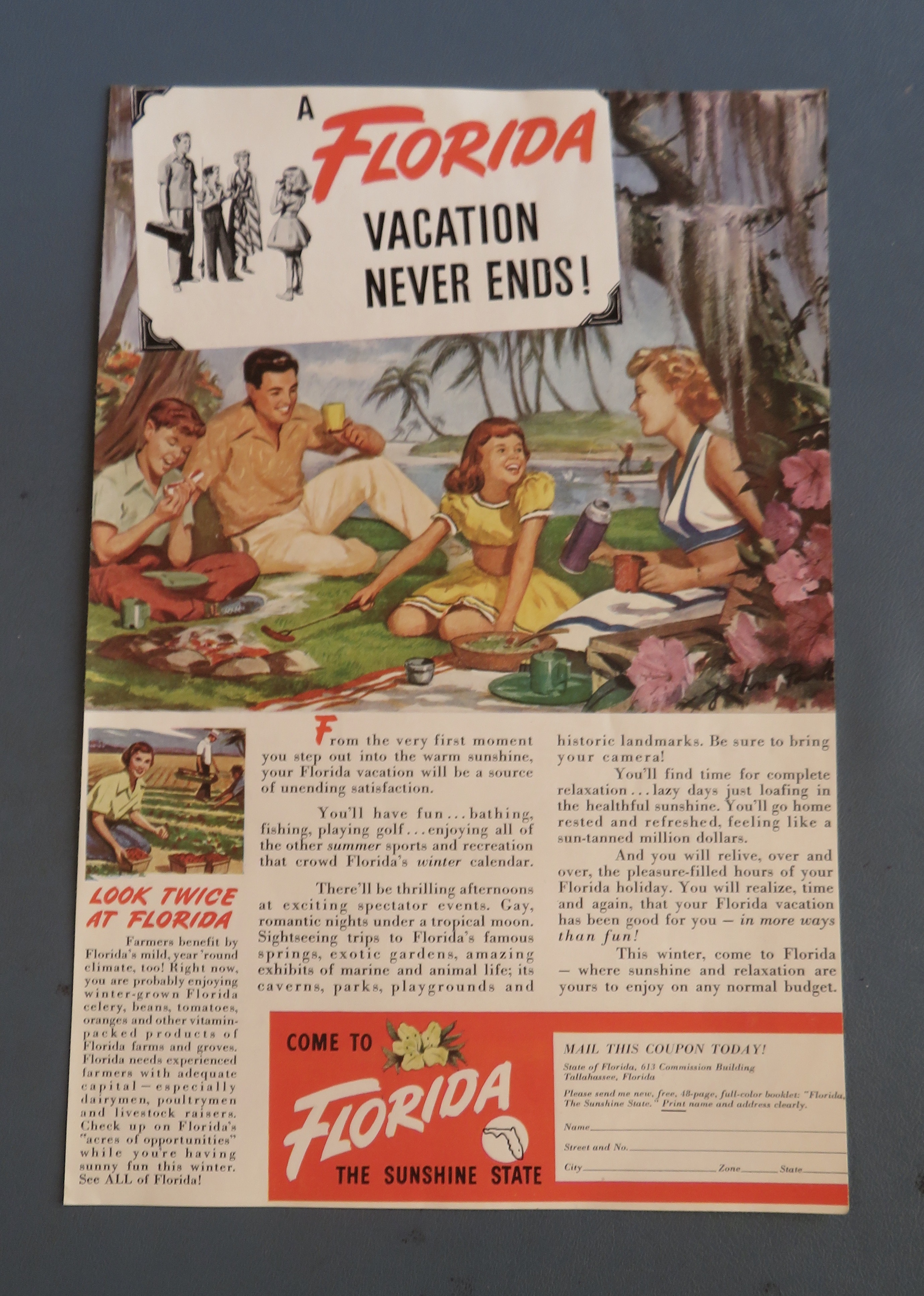 1949 Come To Florida with Family Having A Picnic