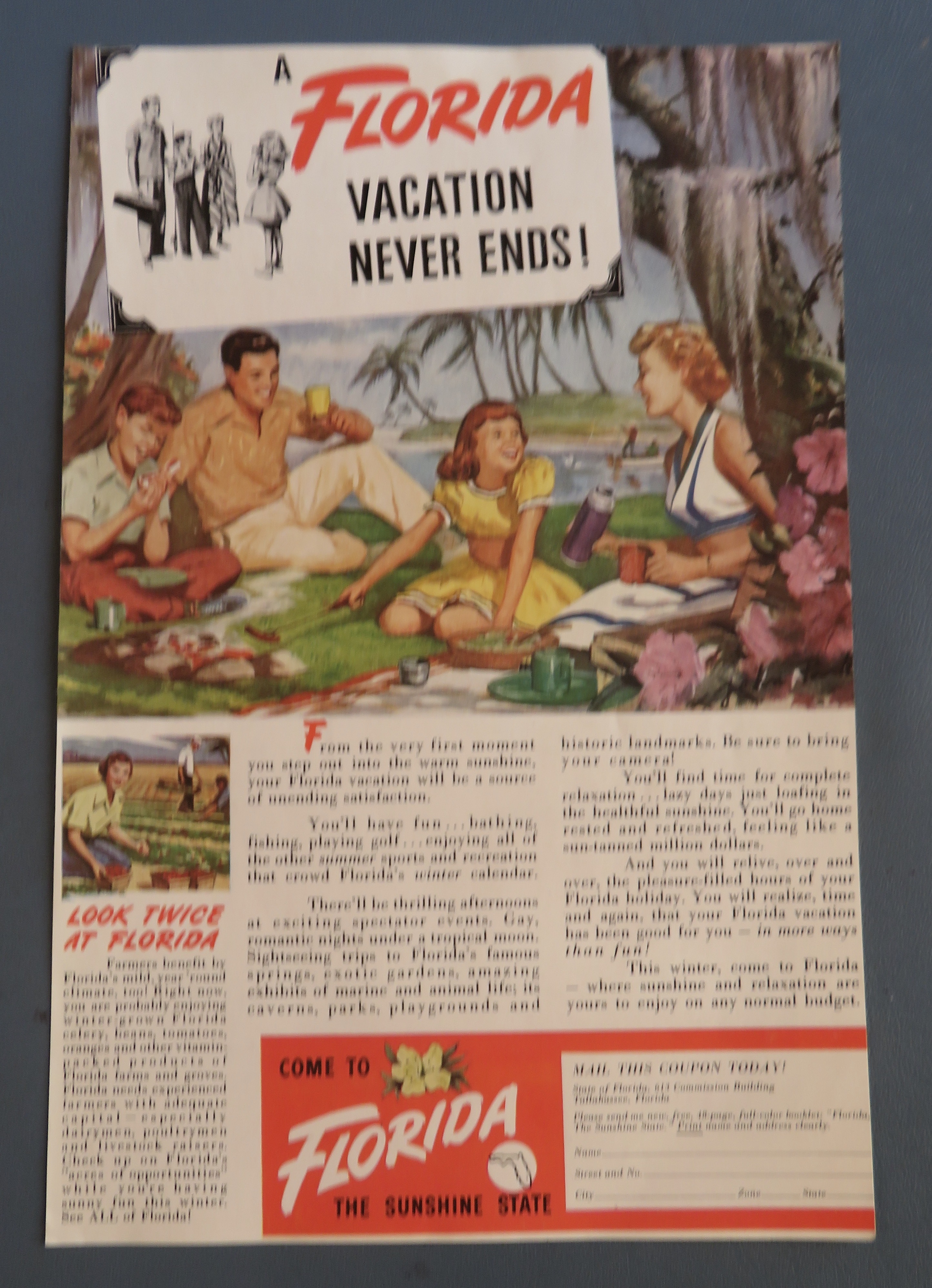 1949 Come To Florida with Family Having A Picnic