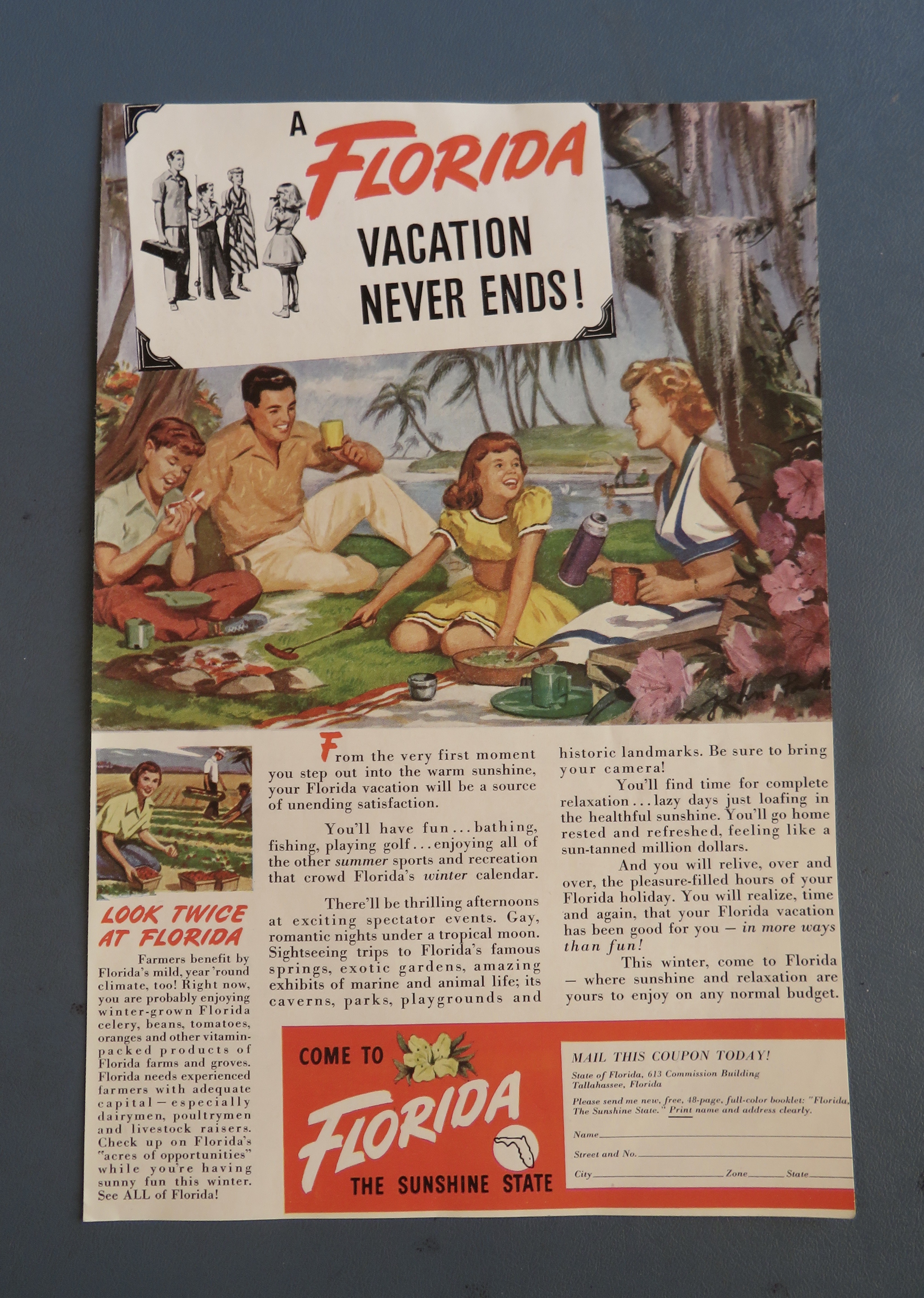 1949 Come To Florida with Family Having A Picnic