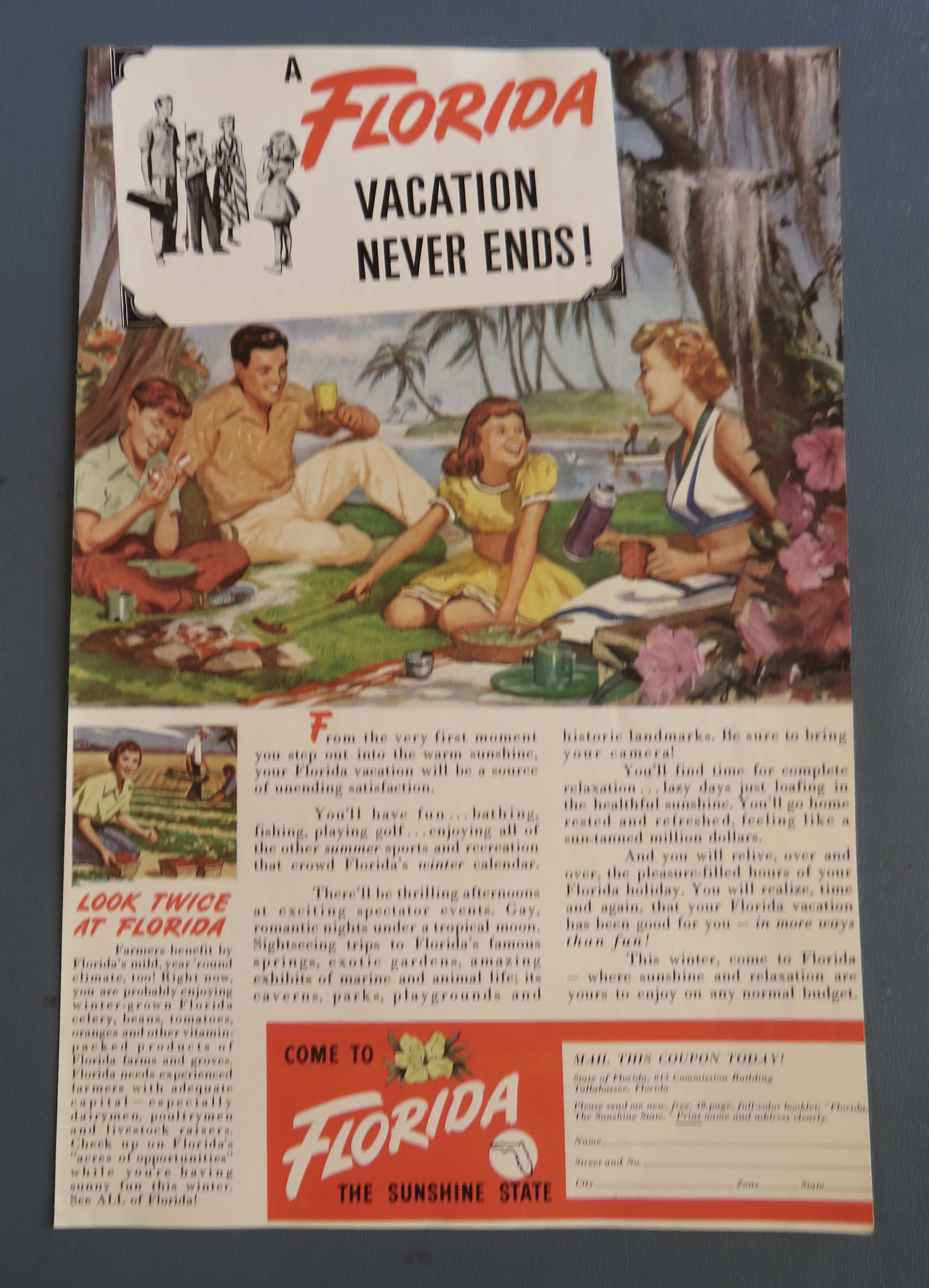 1949 Come To Florida with Family Having A Picnic