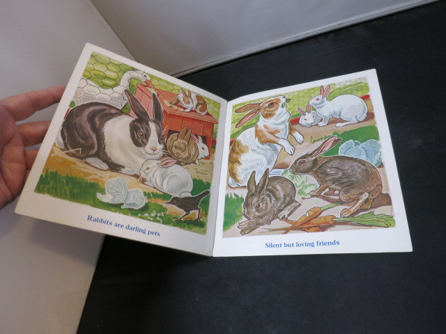 Furry Friends Book No 466 1941 Sam'L Gabriel Sons & Company NY So