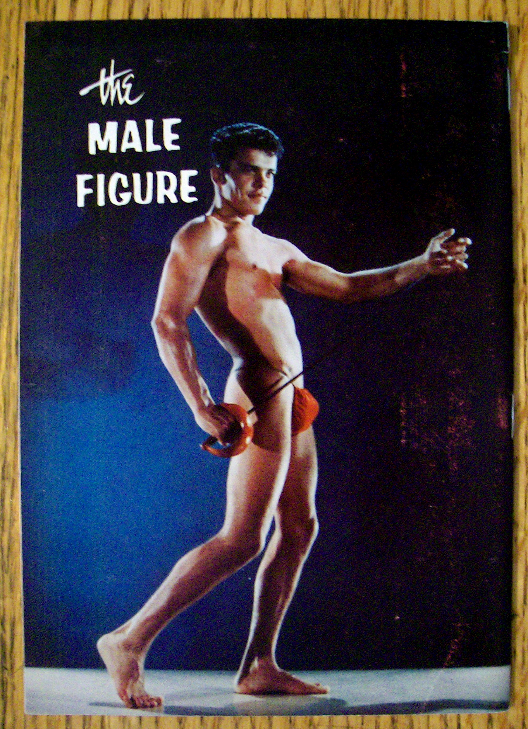 The Male Figure 1964 Tim Young - Gay Interest