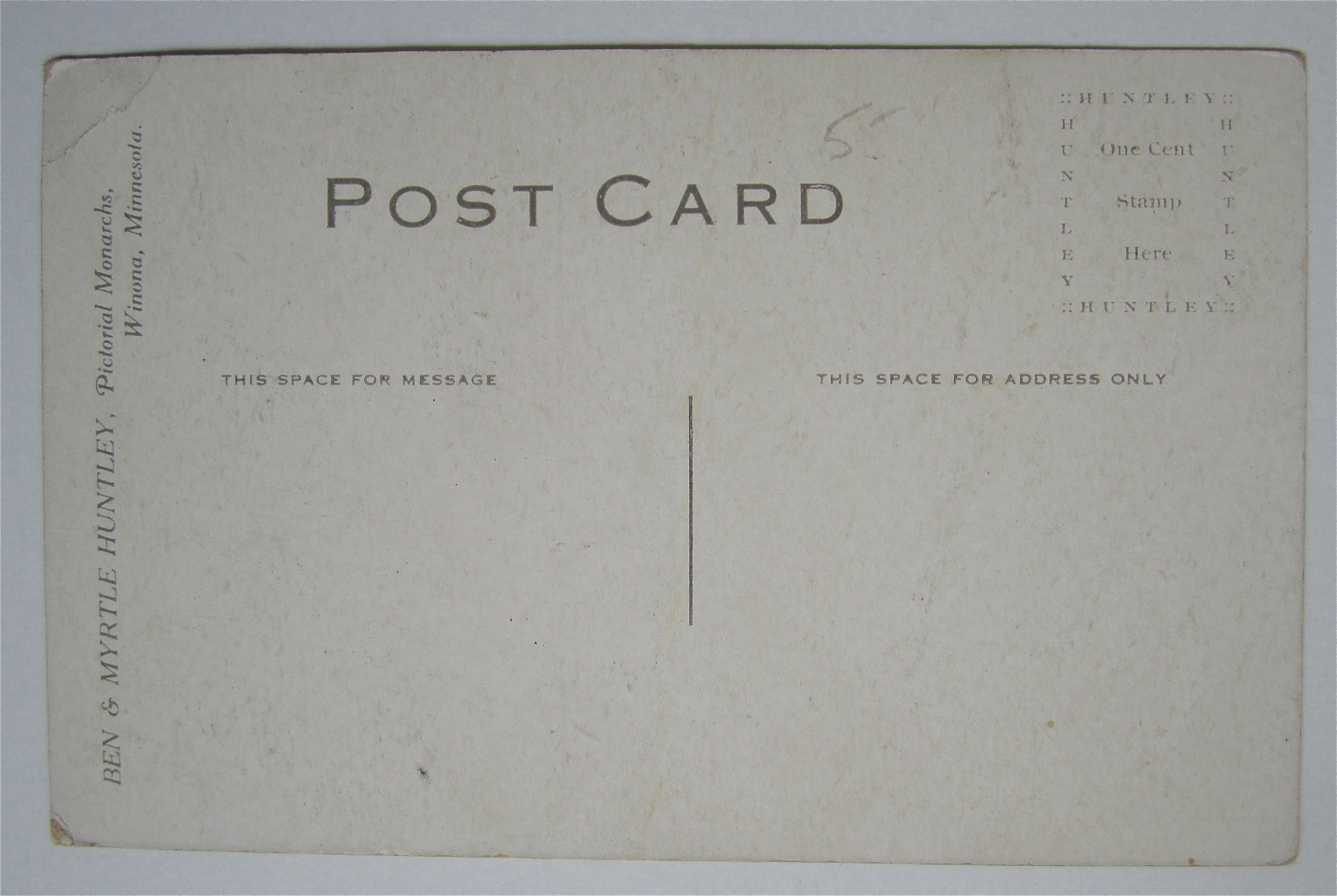 Woman Standing And Posing Postcard