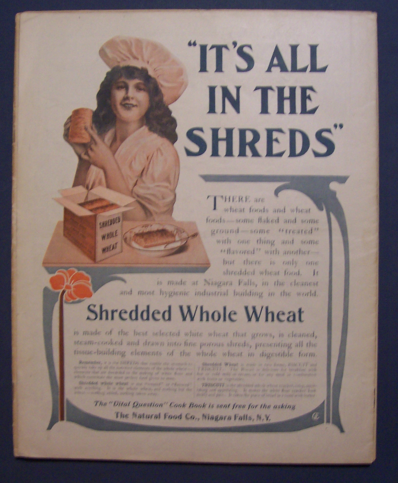 Saturday  Evening  Post  Magazine - August 5, 1905