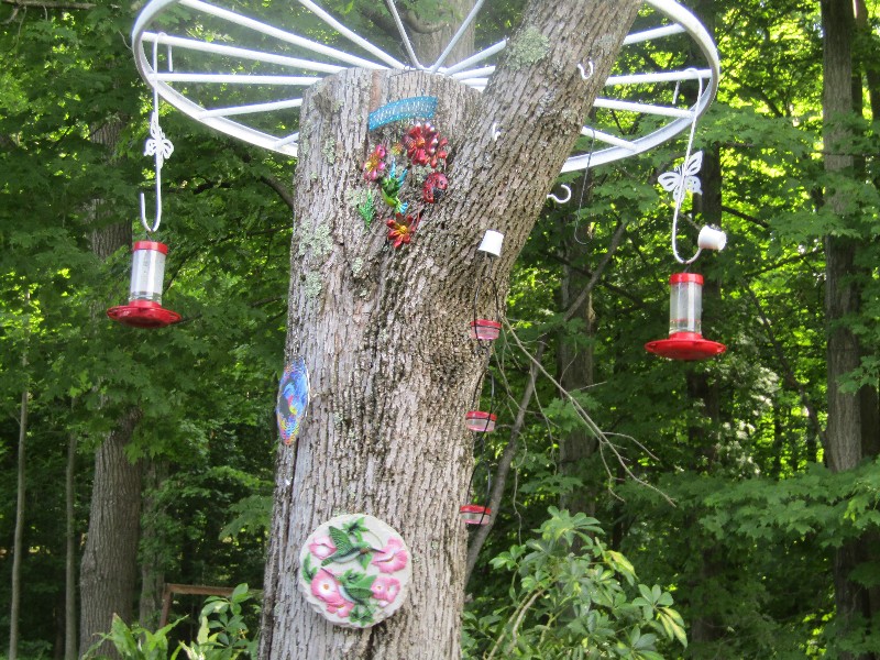 Hummingbird Hill Antiques banner