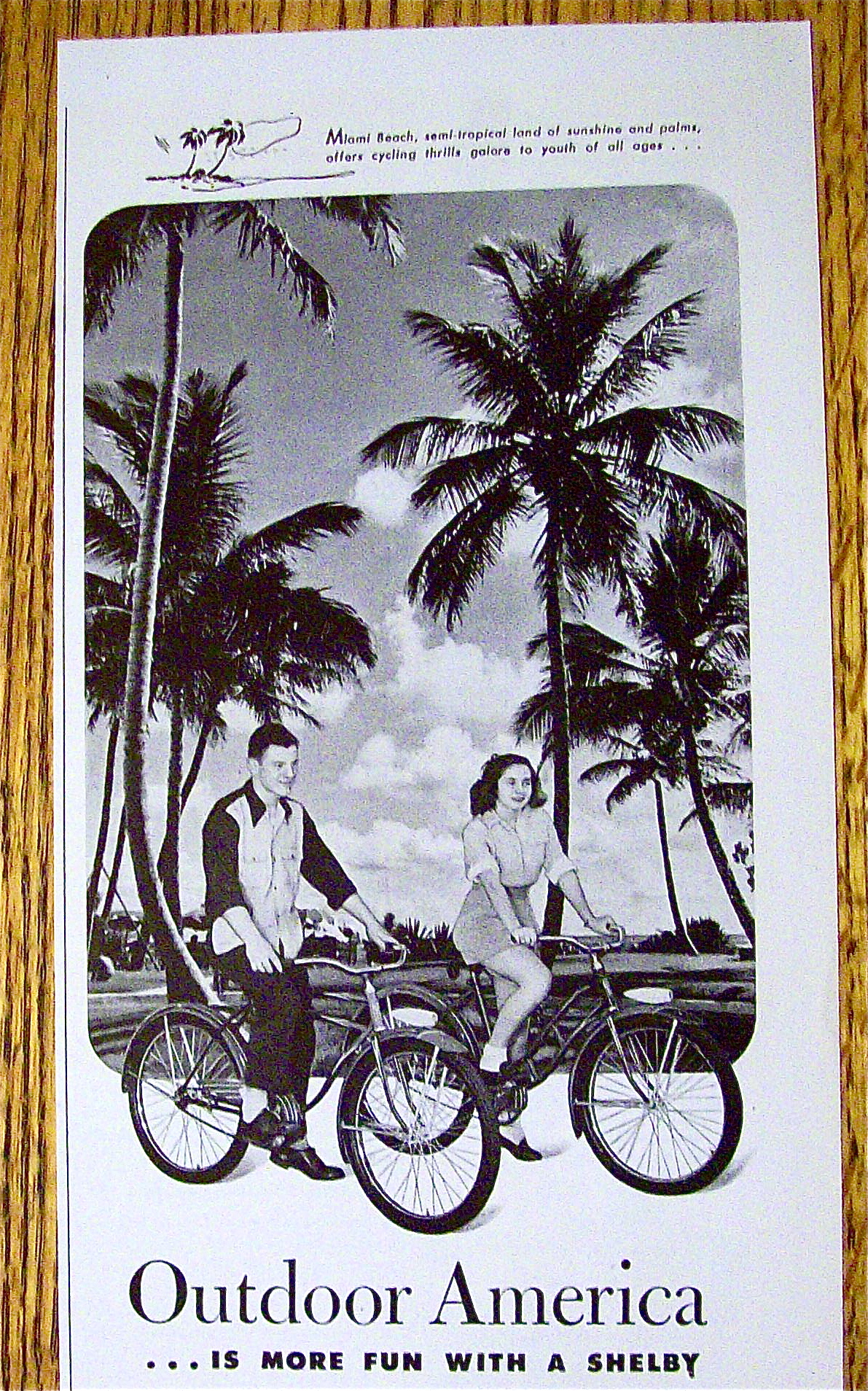 1946 Shelby Bicycles with Boy & Girl Riding On Bicycles