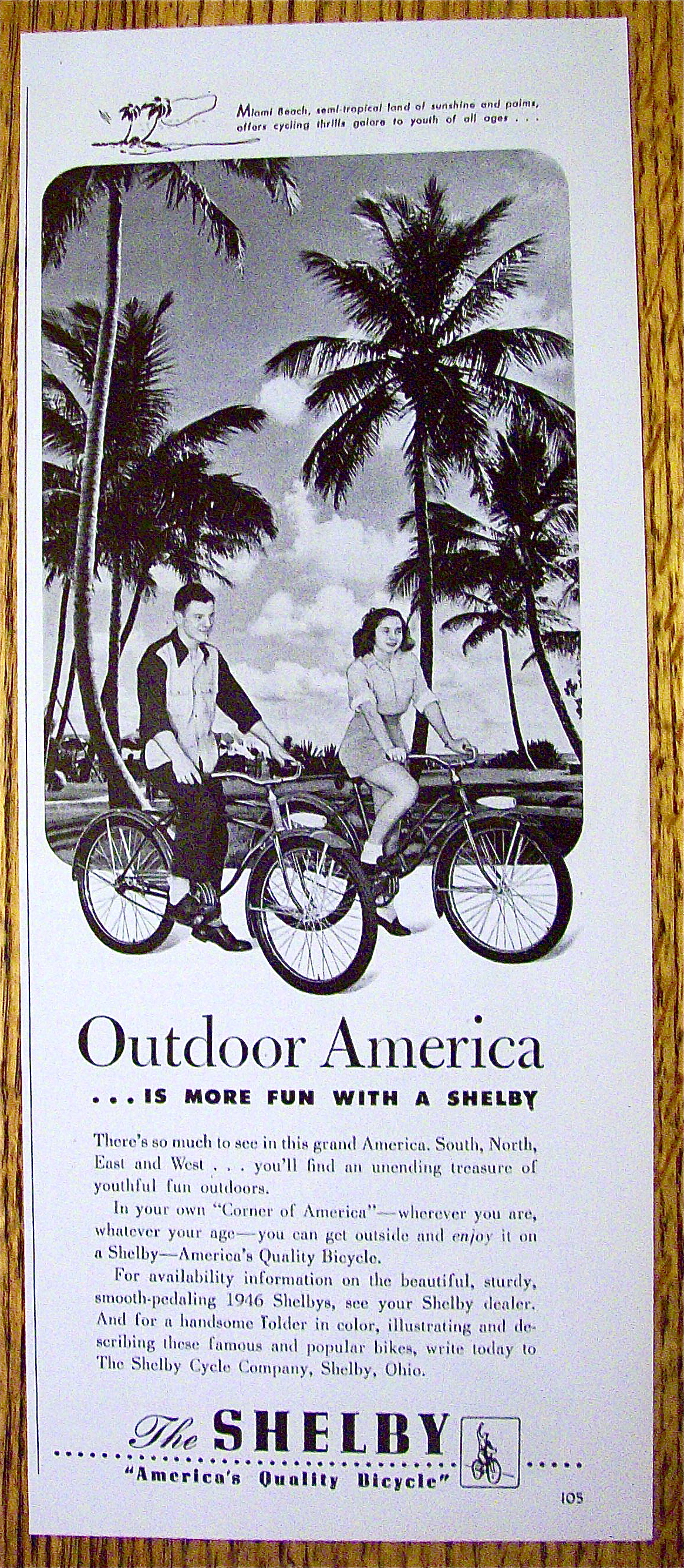 1946 Shelby Bicycles with Boy & Girl Riding On Bicycles