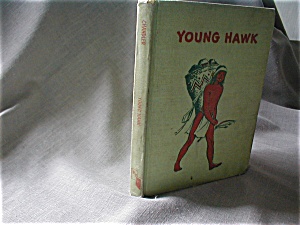 Young Hawk