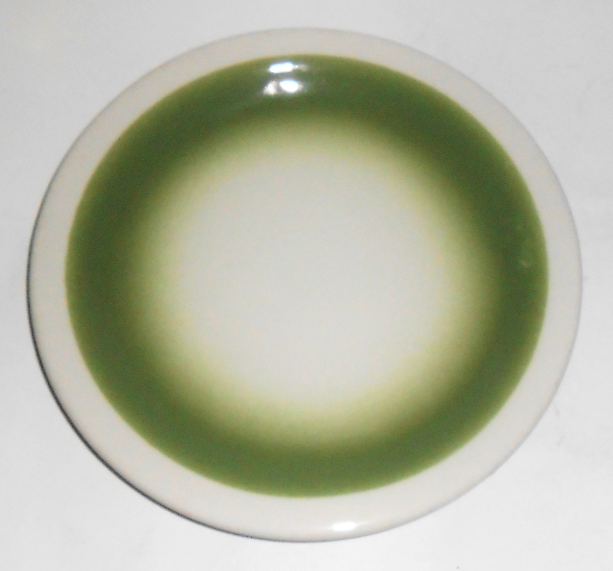 McNicol China Restaurant Ware Green Airbrushed Plate