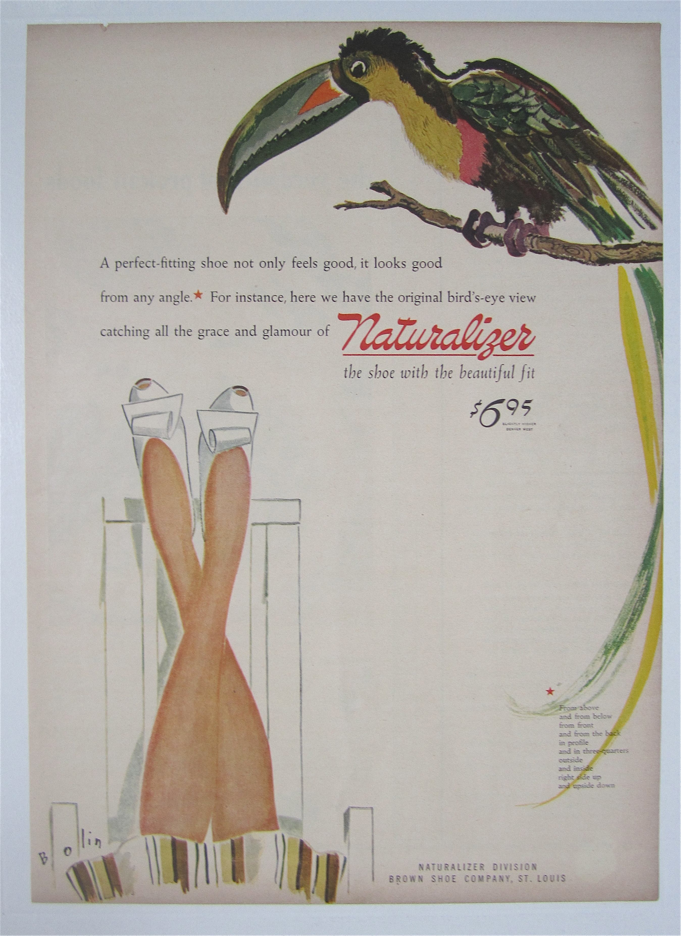 1944 Naturalizer with a Lovely Colored Parrot