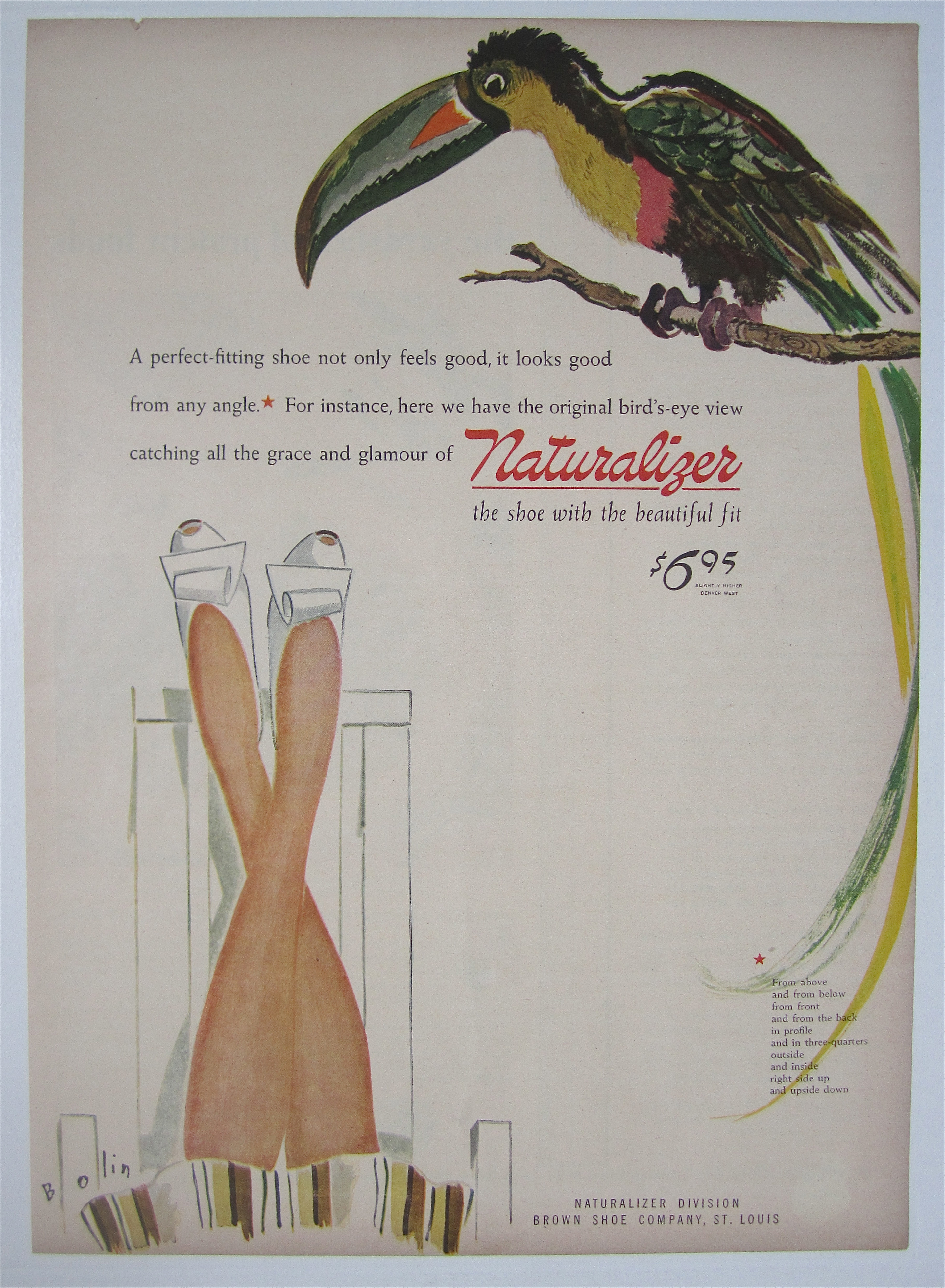 1944 Naturalizer with a Lovely Colored Parrot