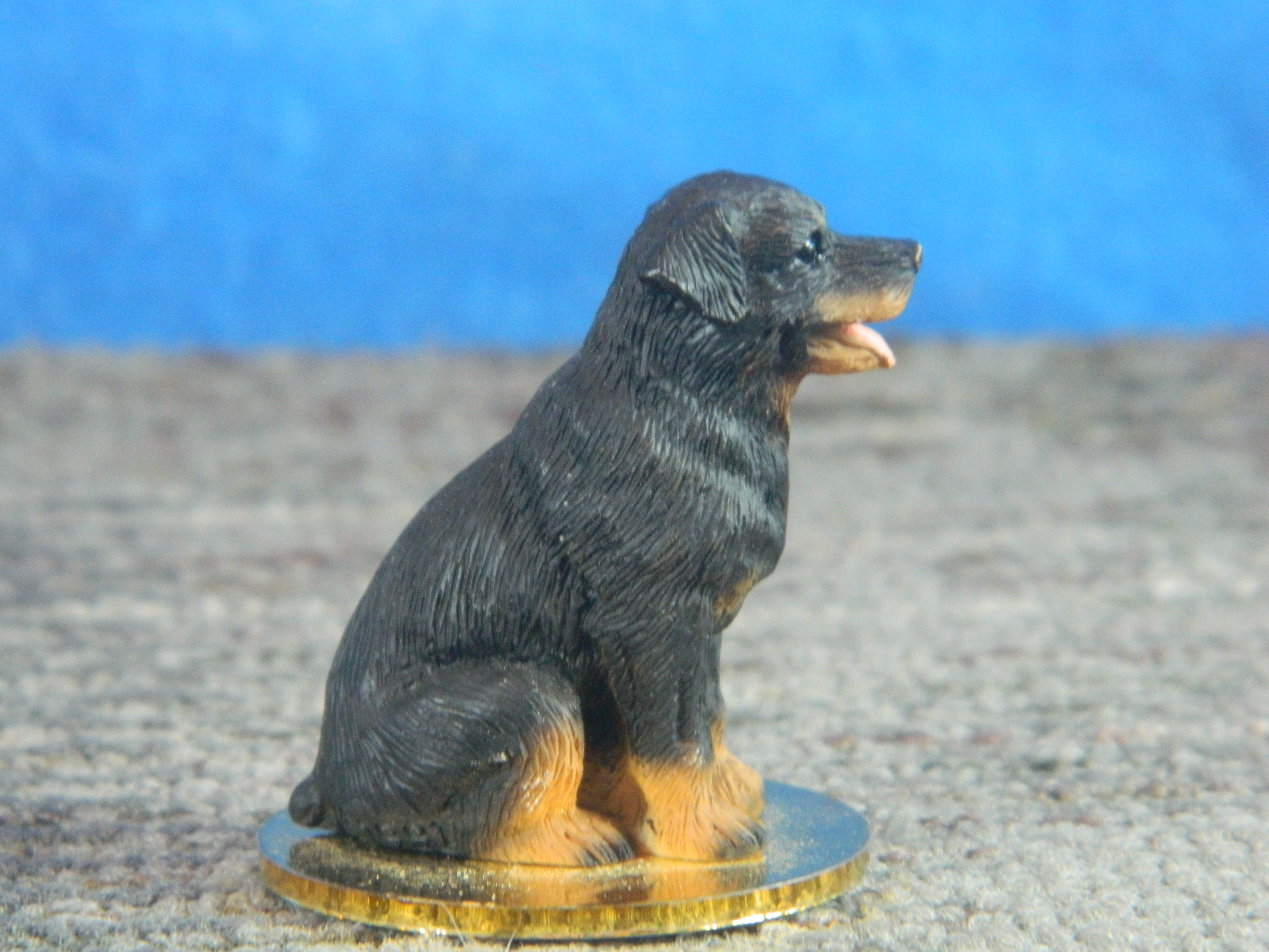 Conversation Concepts Tiny Ones Rottweiler