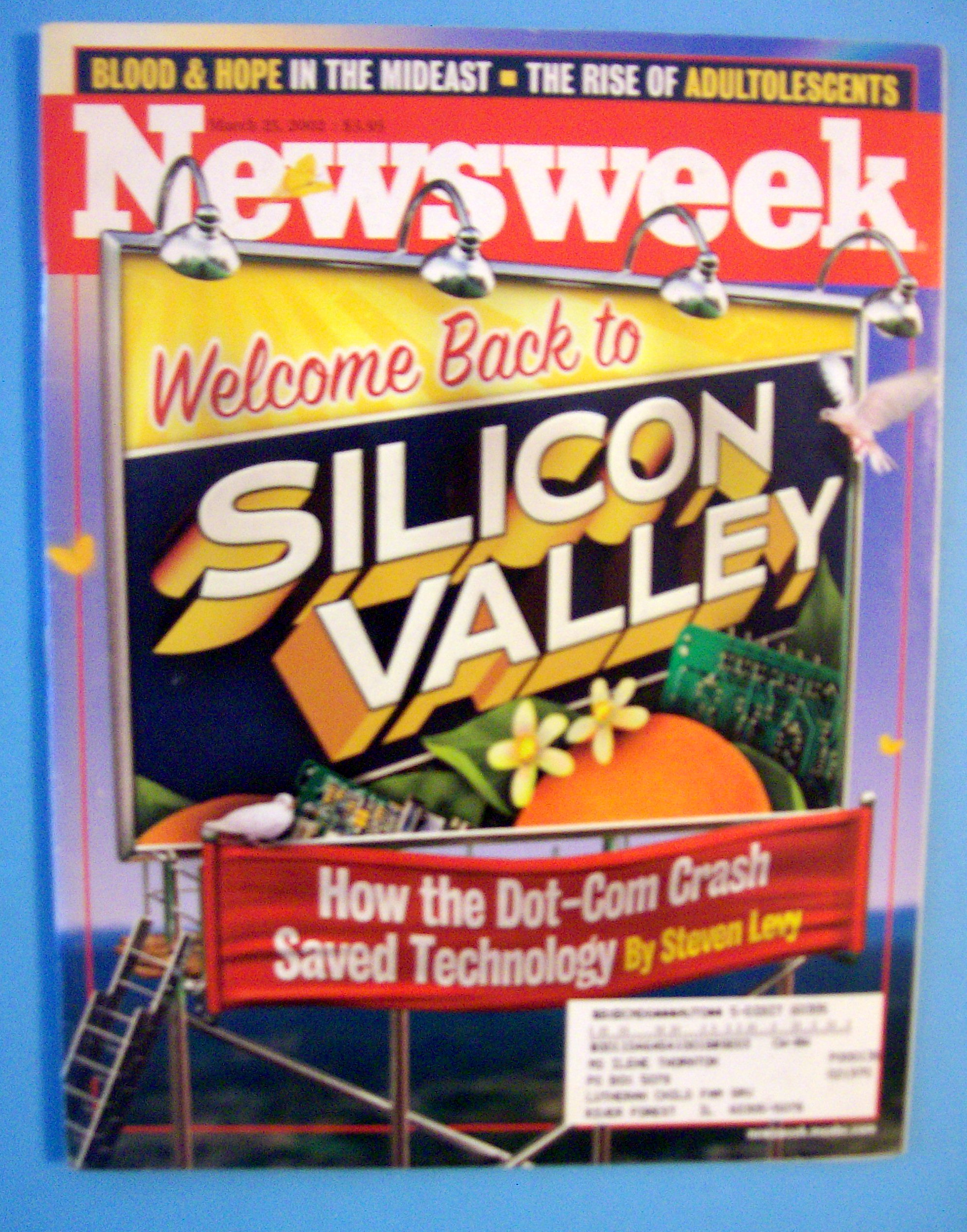 Newsweek Magazine-March 25, 2002-Silicon Valley