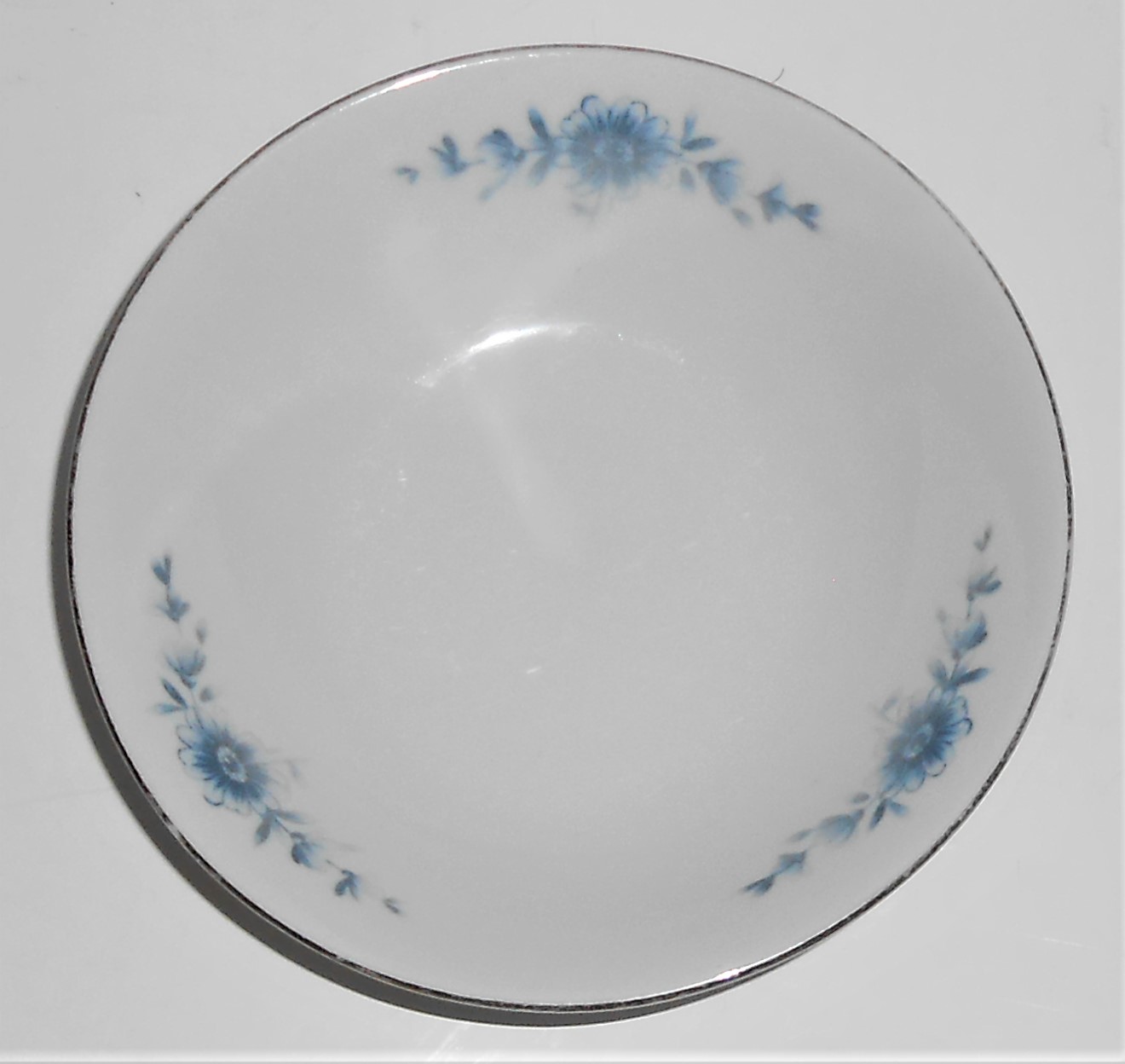 Eschenbach China Bavaria Porcelain Danish Blue Platinum