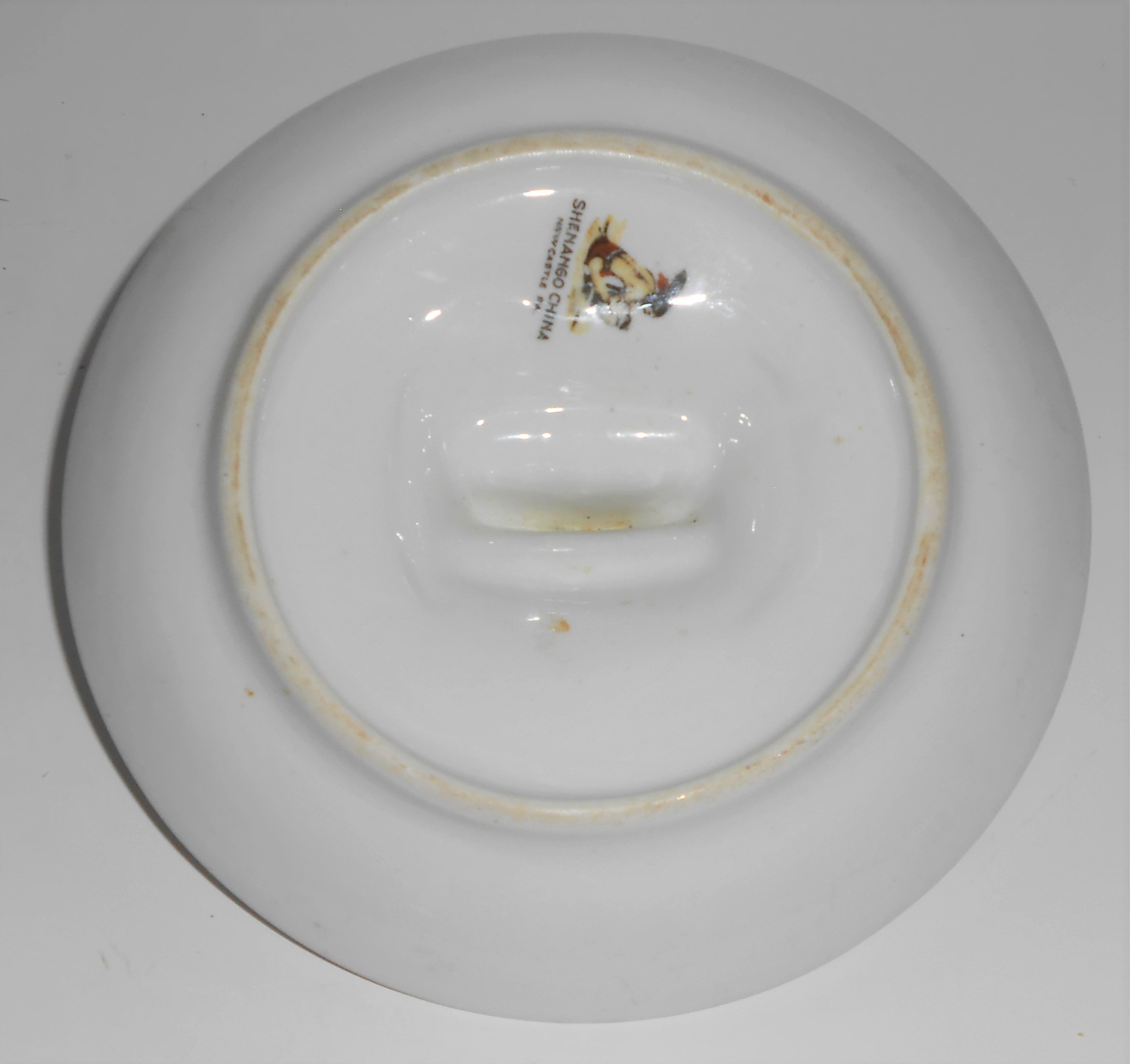Shenango Restaurant Ware China Floral Decorated Match