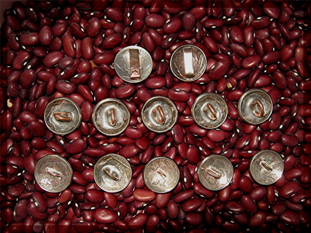 Buffalo & Indian Head  Silver Buttons 12