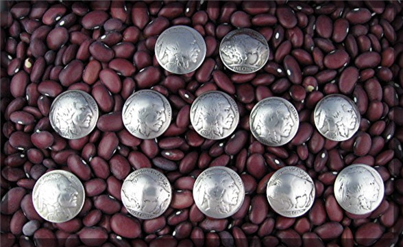 Buffalo & Indian Head Silver Buttons 12