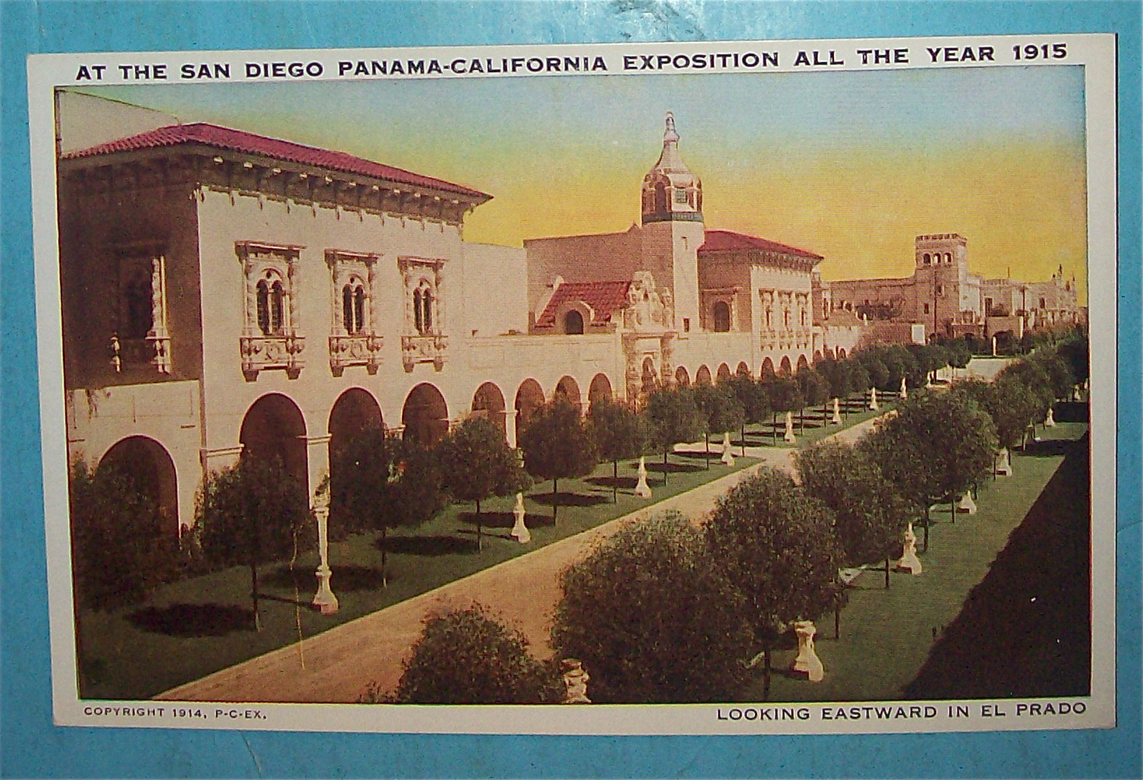 Looking Eastward In El Prado Postcard