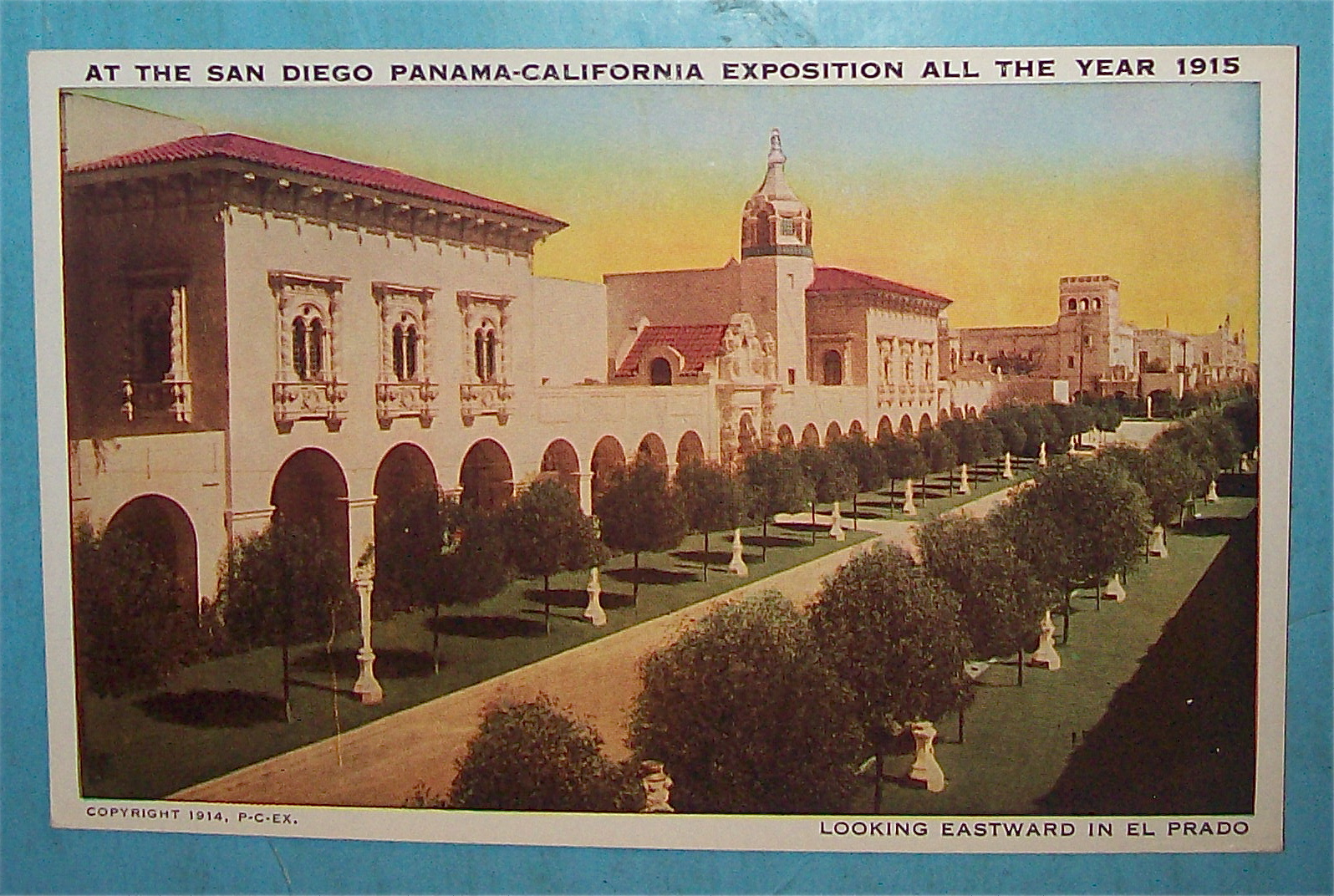 Looking Eastward In El Prado Postcard