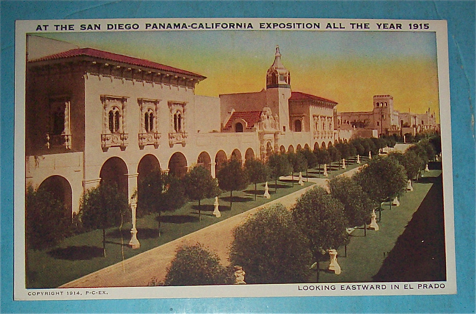 Looking Eastward In El Prado Postcard