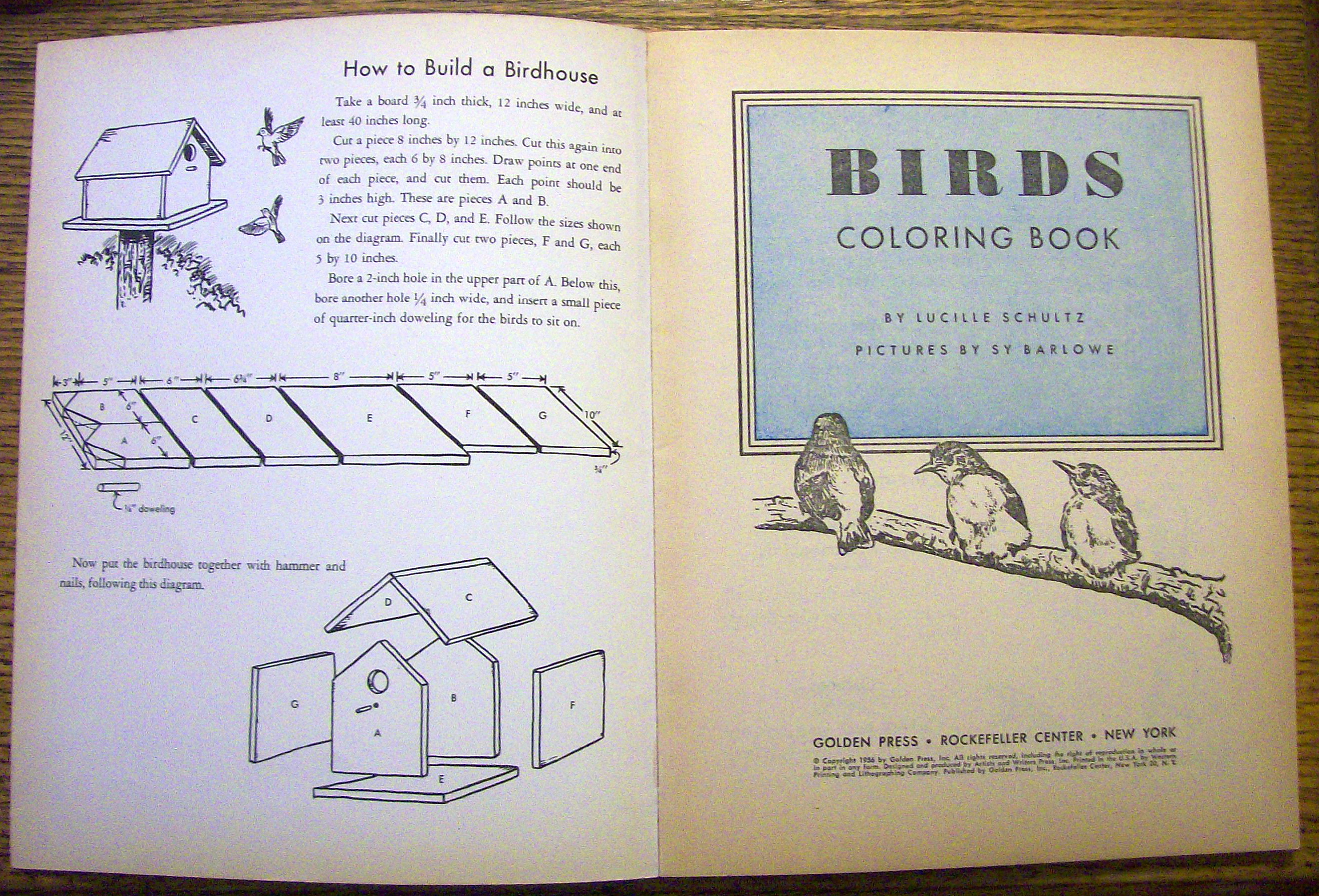 Birds Coloring Book 1956 (80 Pages Of Birds To Color)