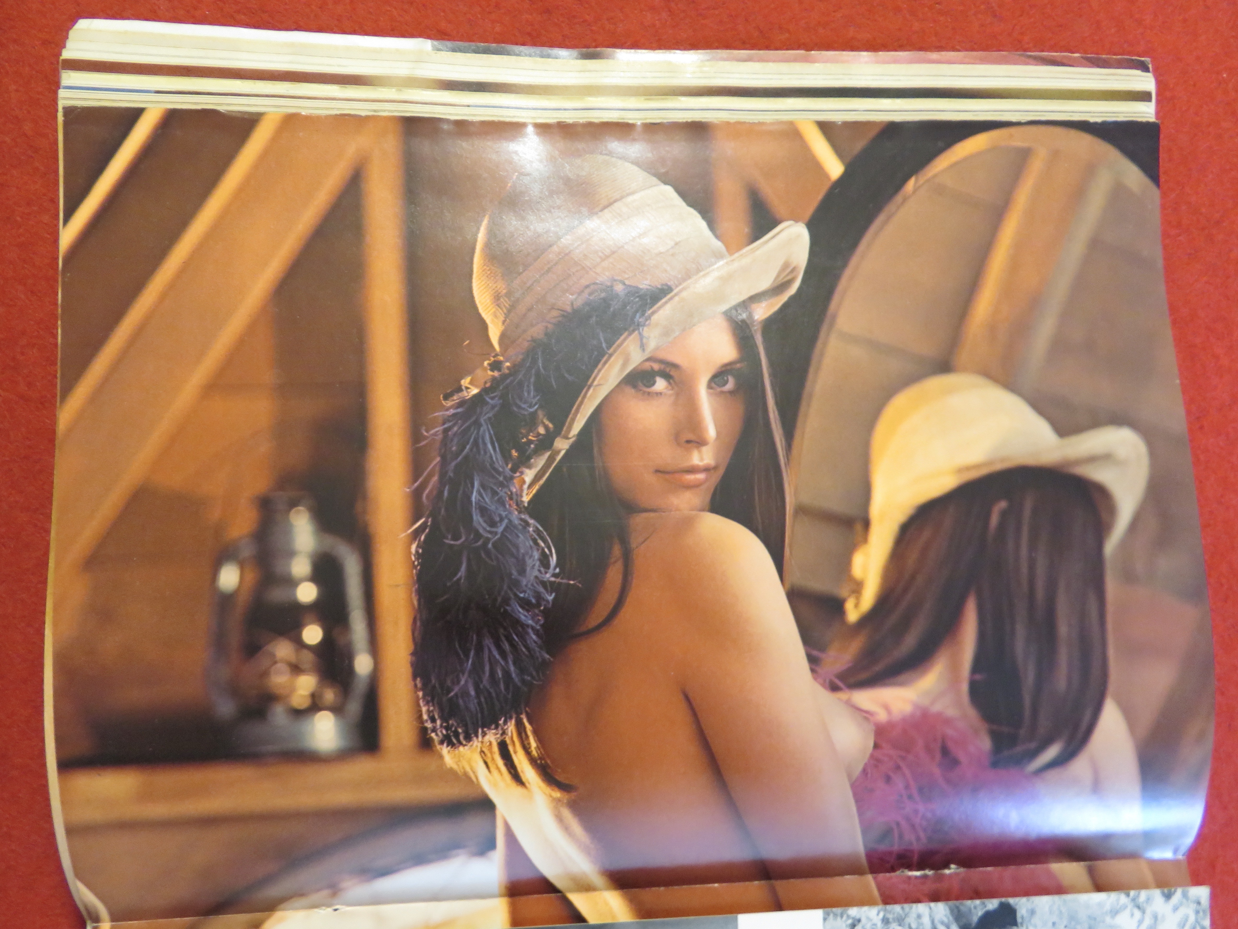 Vintage Playboy-November 1972-Lenna Sjoobloom